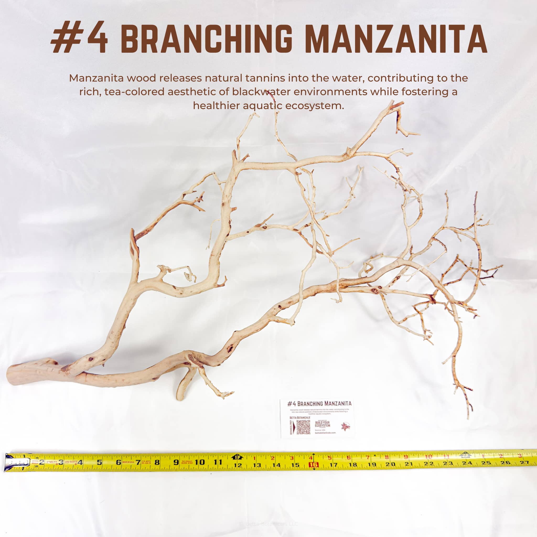 Branching Manzanita | WYSIWYG Pieces