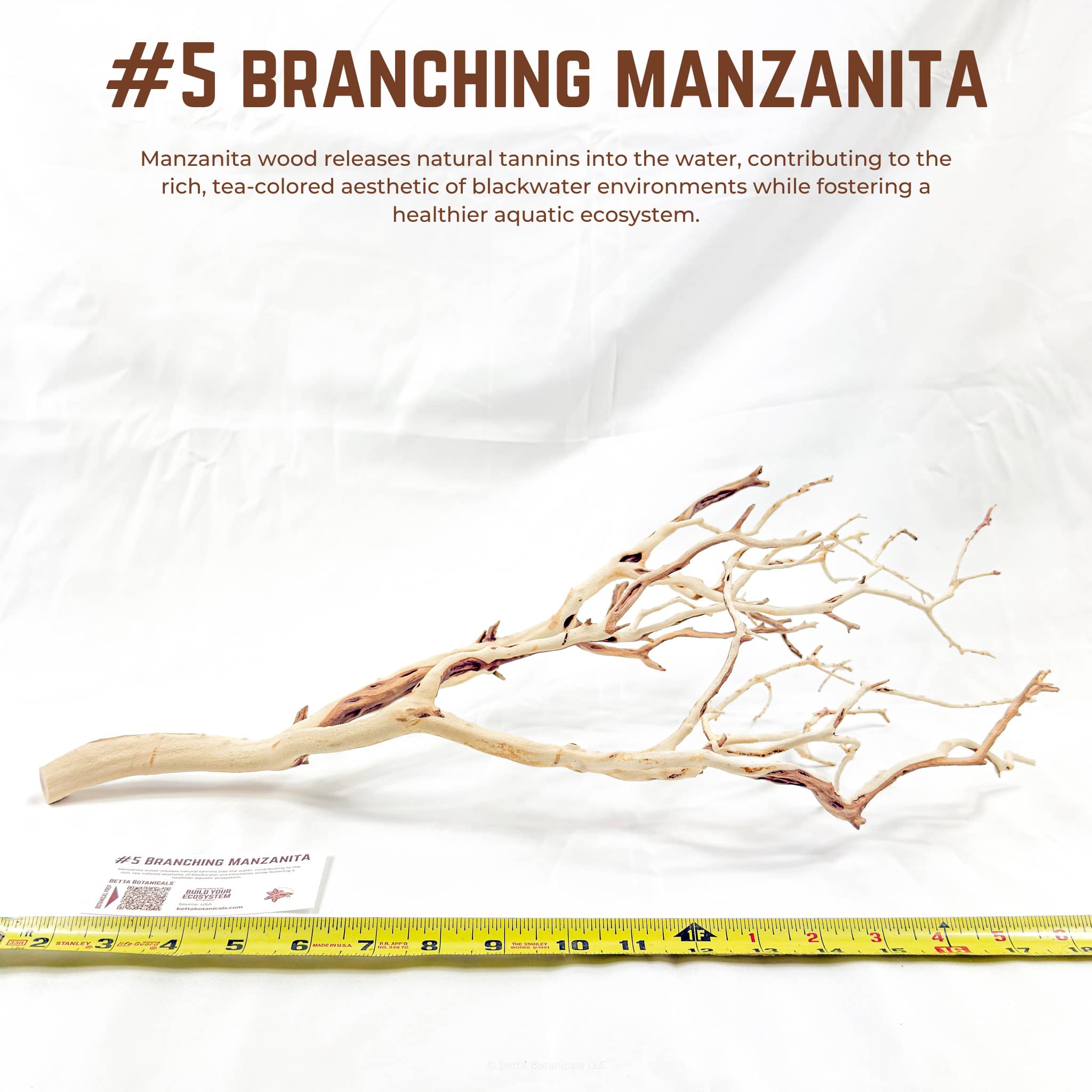 Branching Manzanita | WYSIWYG Pieces
