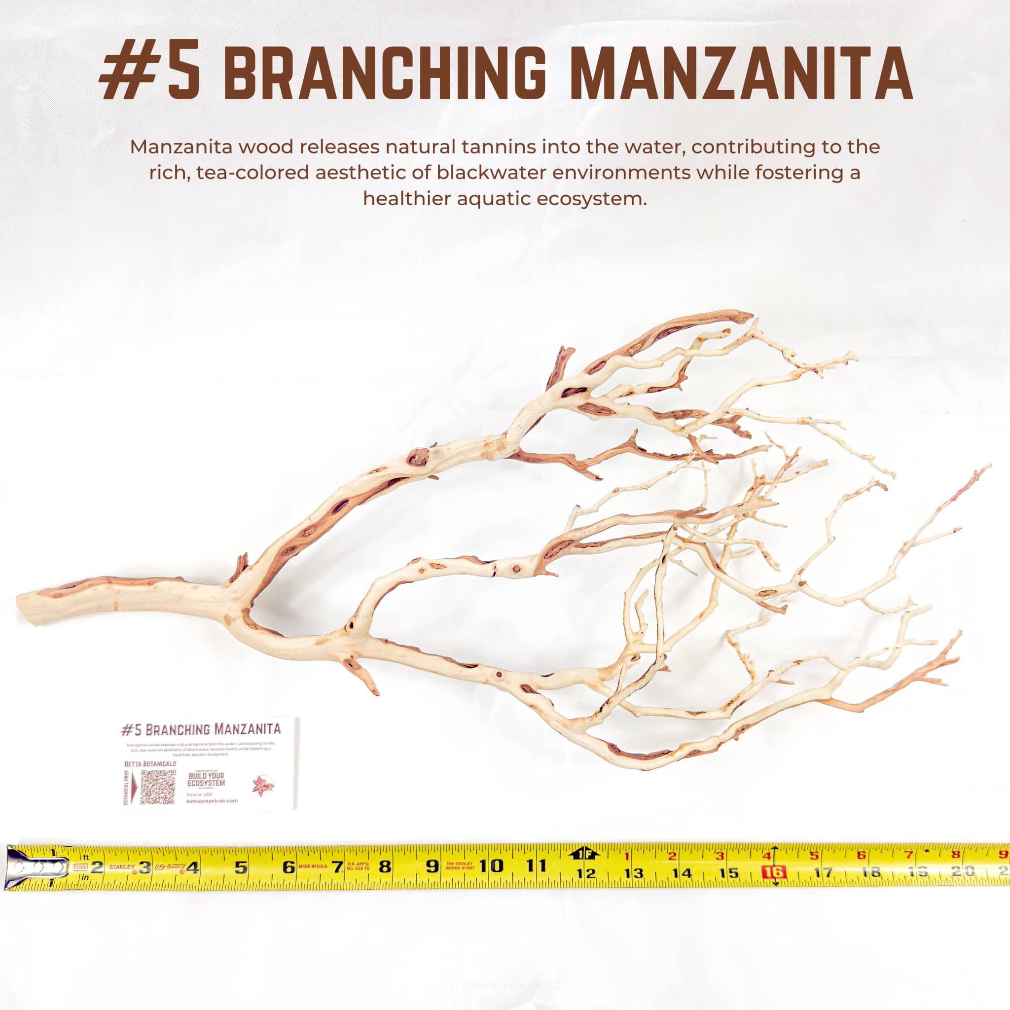 Branching Manzanita | WYSIWYG Pieces