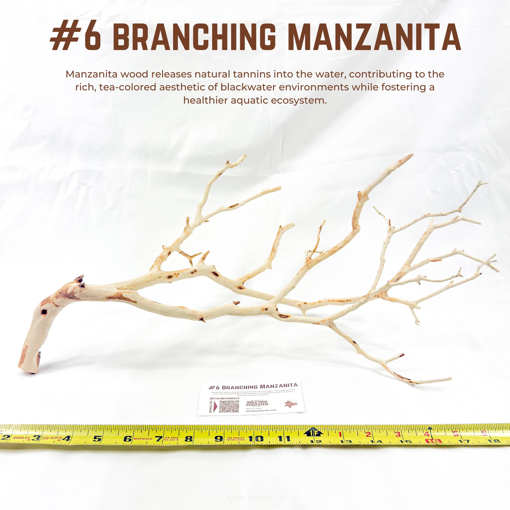 Branching Manzanita | WYSIWYG Pieces