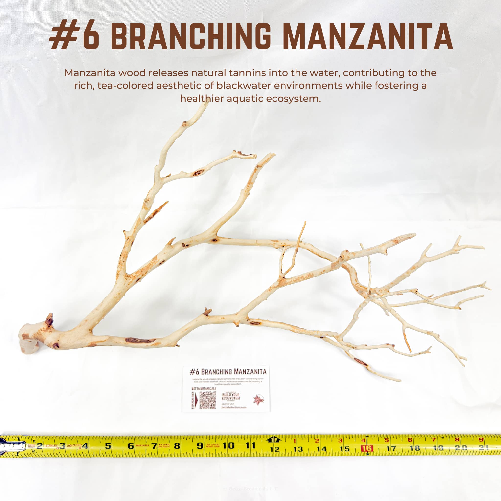 Branching Manzanita | WYSIWYG Pieces