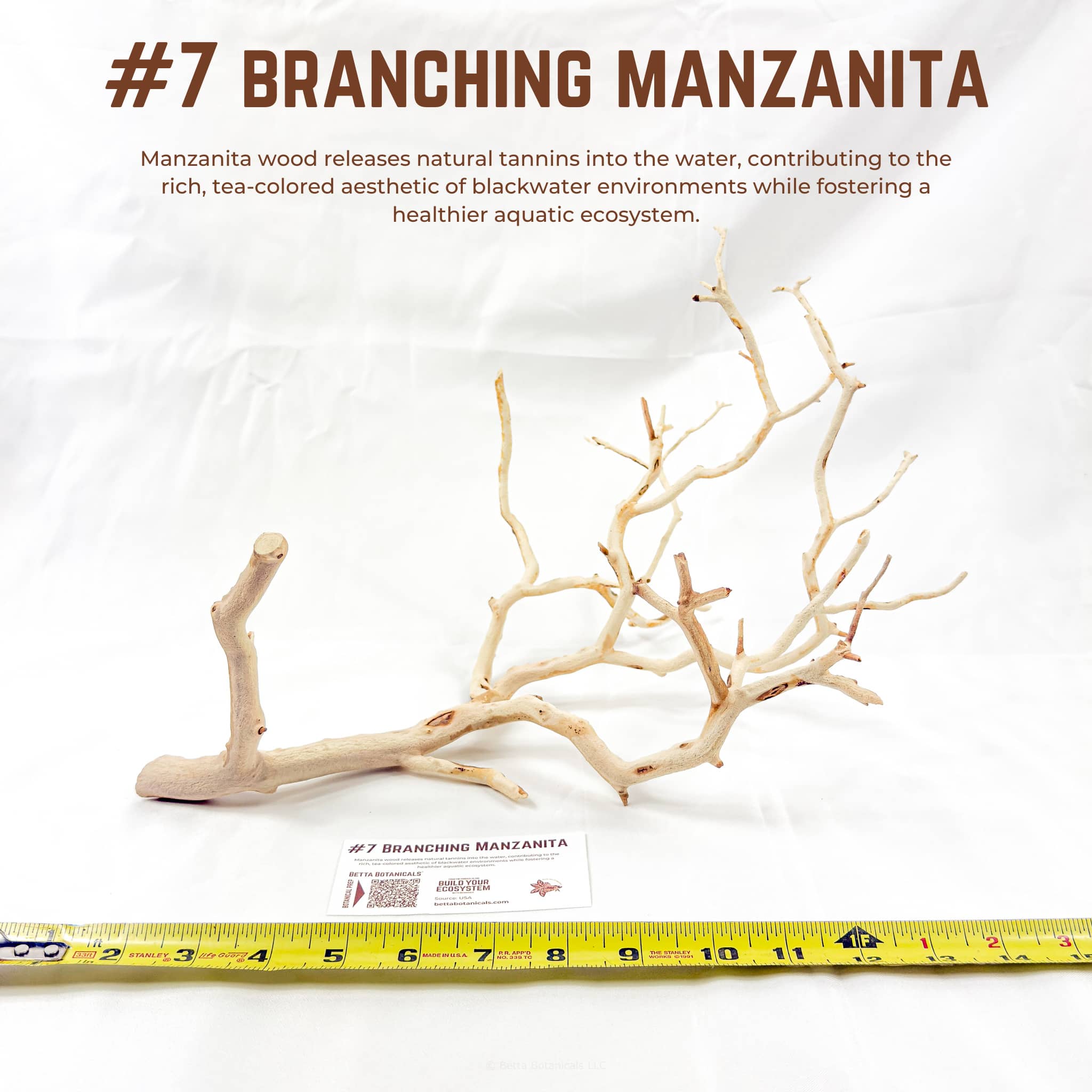Branching Manzanita | WYSIWYG Pieces
