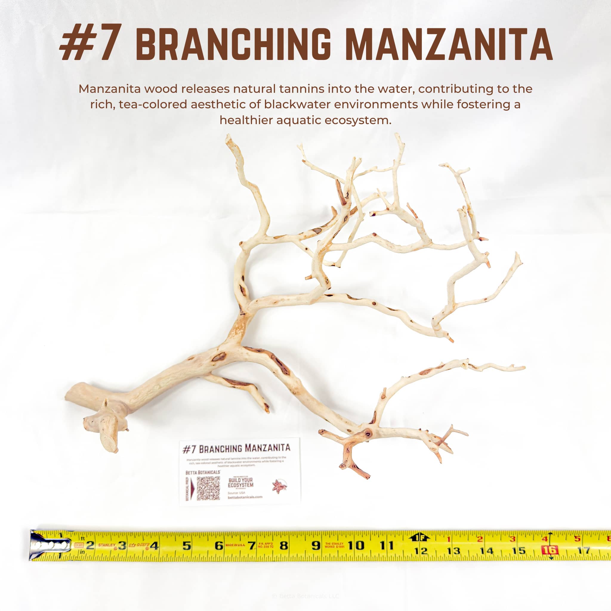 Branching Manzanita | WYSIWYG Pieces