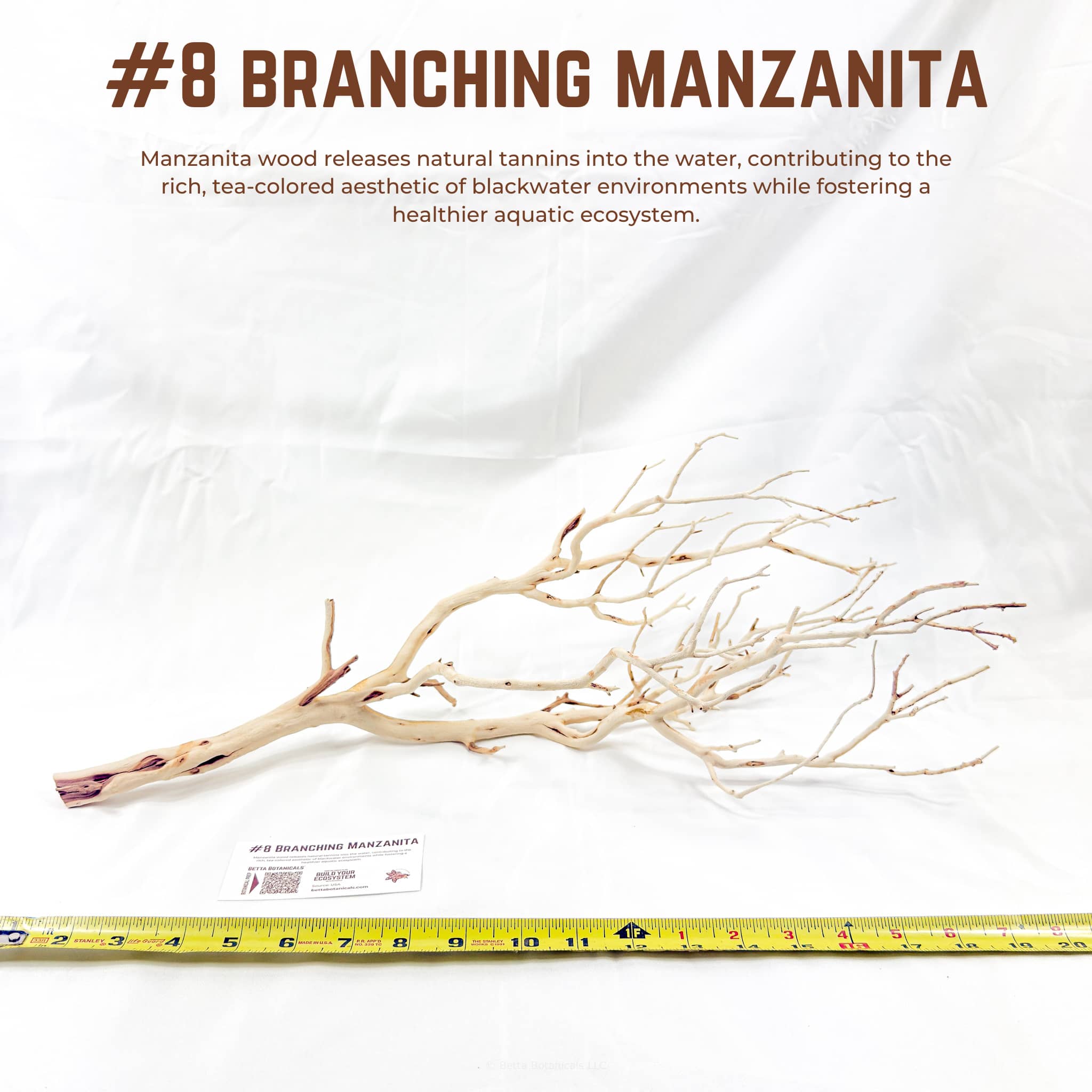 Branching Manzanita | WYSIWYG Pieces