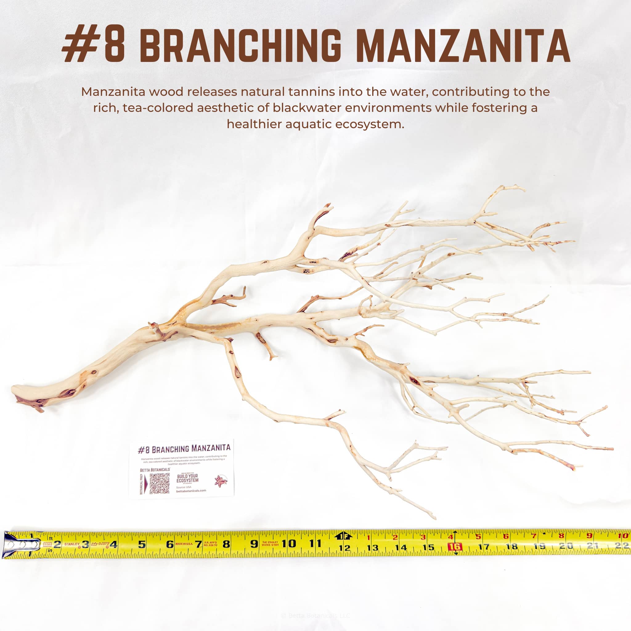 Branching Manzanita | WYSIWYG Pieces