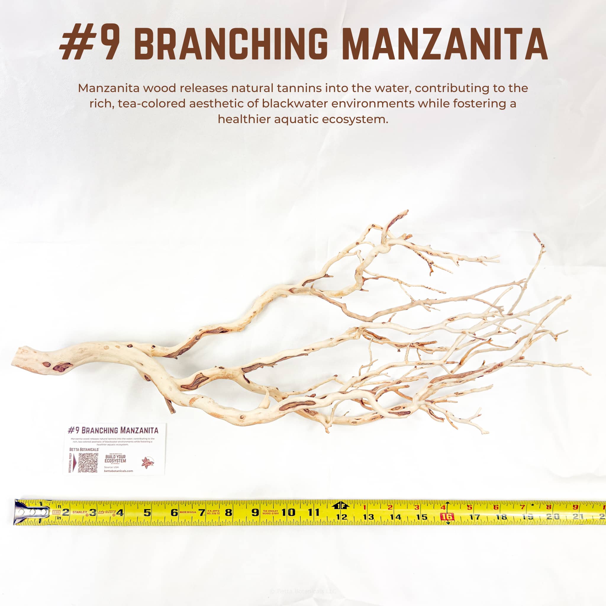 Branching Manzanita | WYSIWYG Pieces