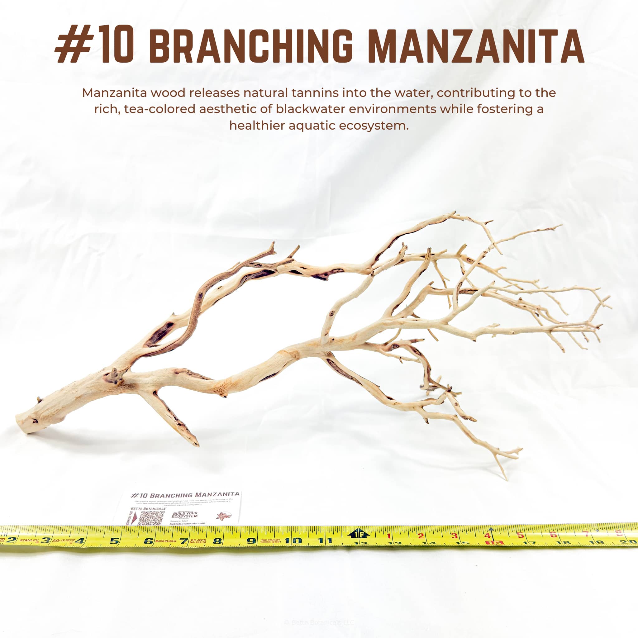 Branching Manzanita | WYSIWYG Pieces