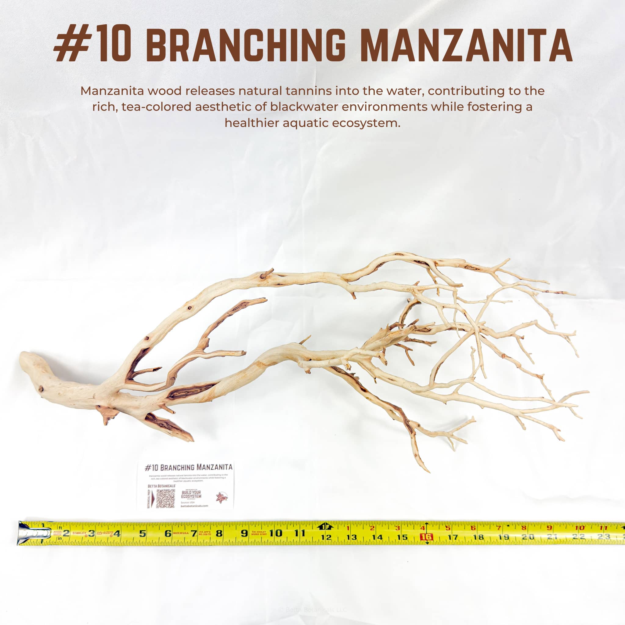 Branching Manzanita | WYSIWYG Pieces