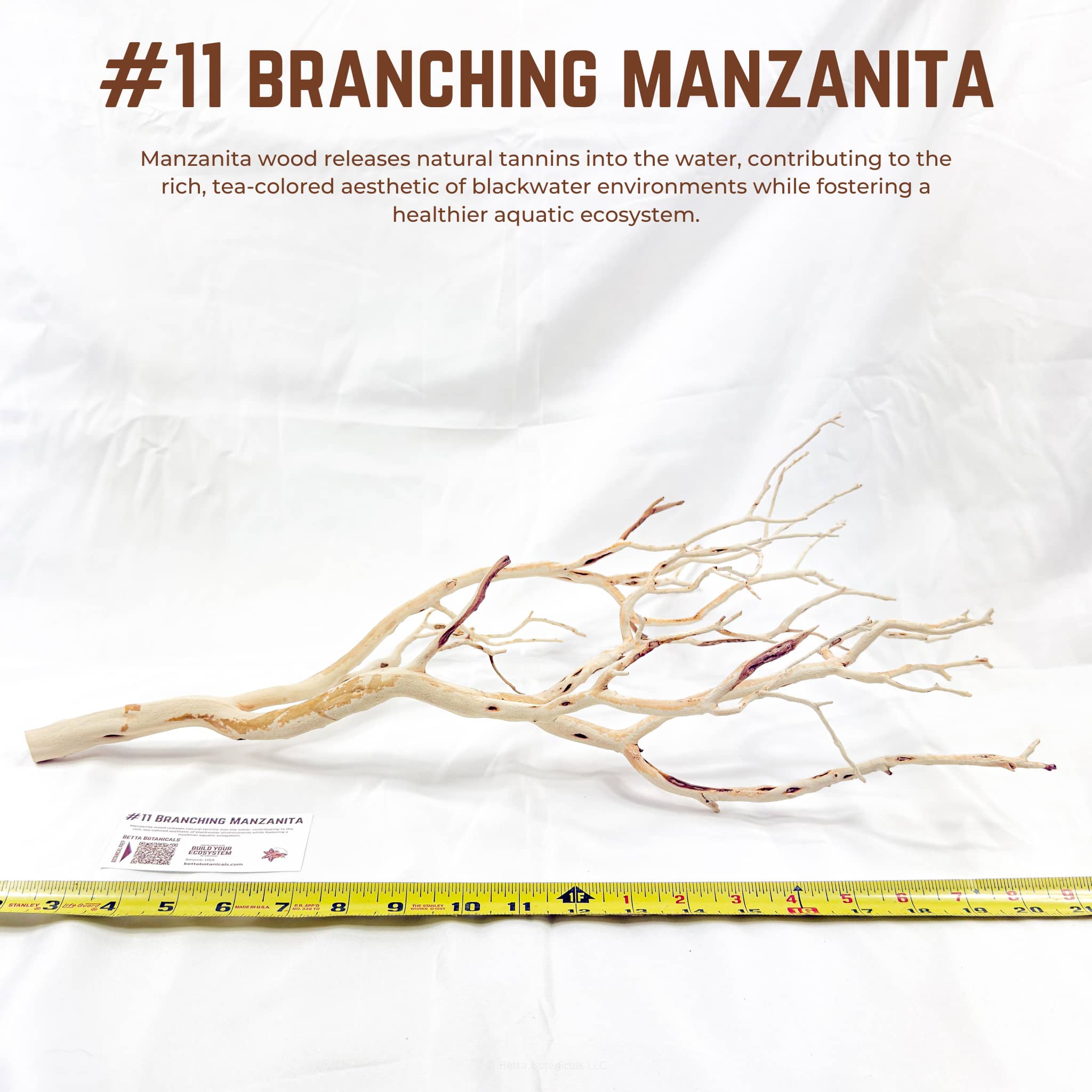 Branching Manzanita | WYSIWYG Pieces