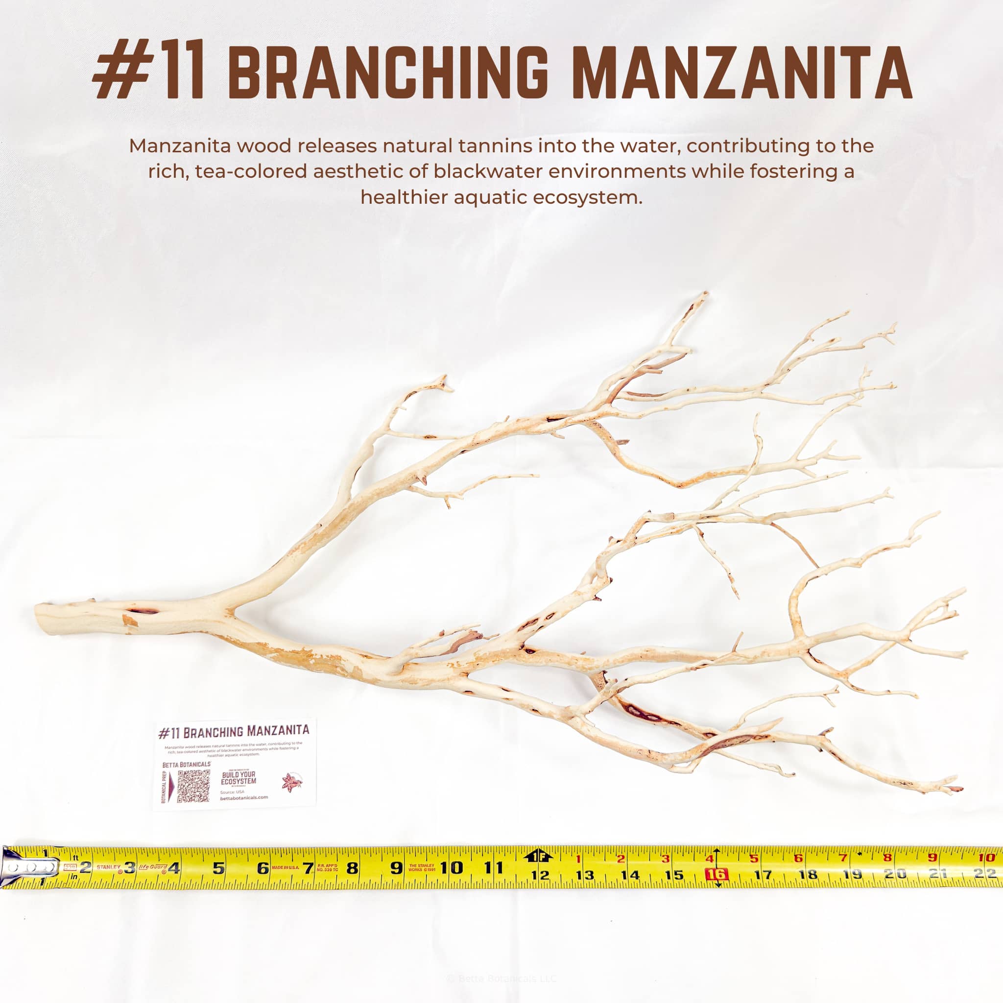 Branching Manzanita | WYSIWYG Pieces