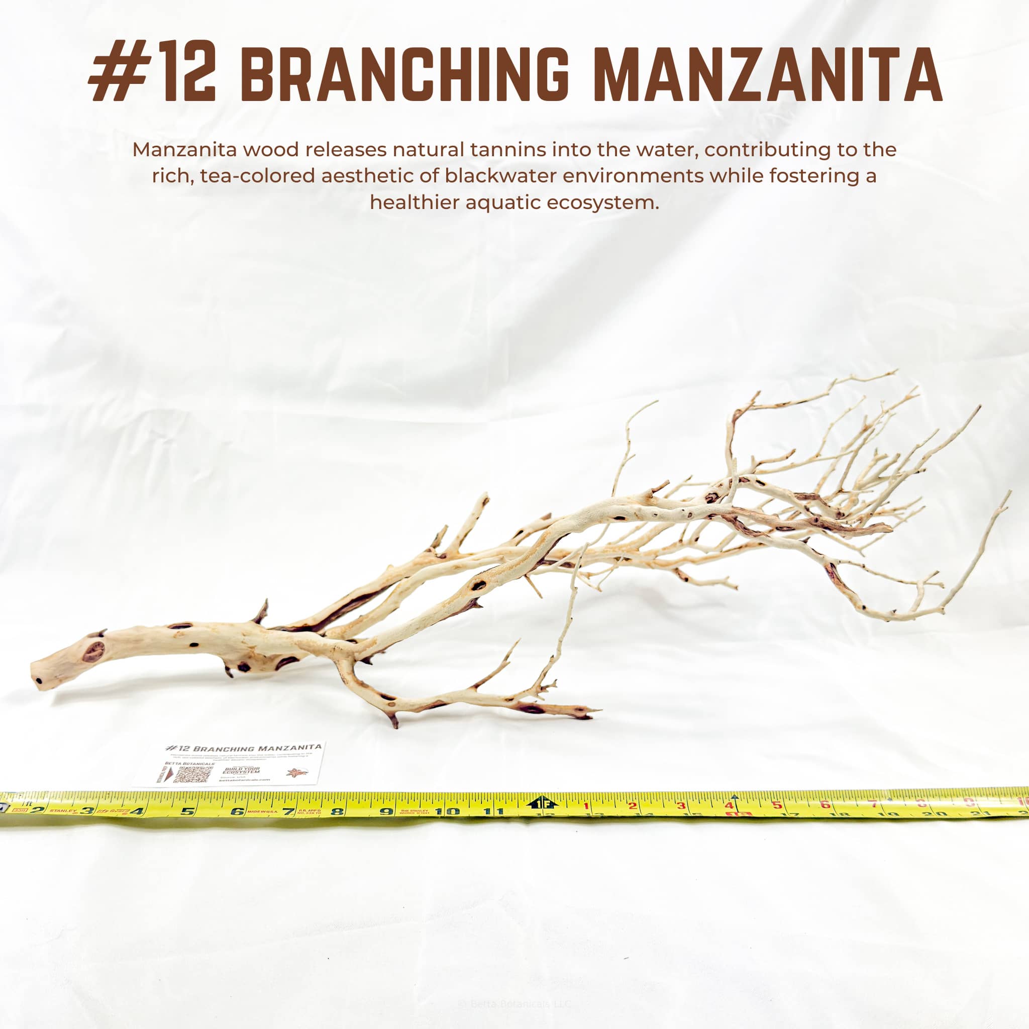 Branching Manzanita | WYSIWYG Pieces