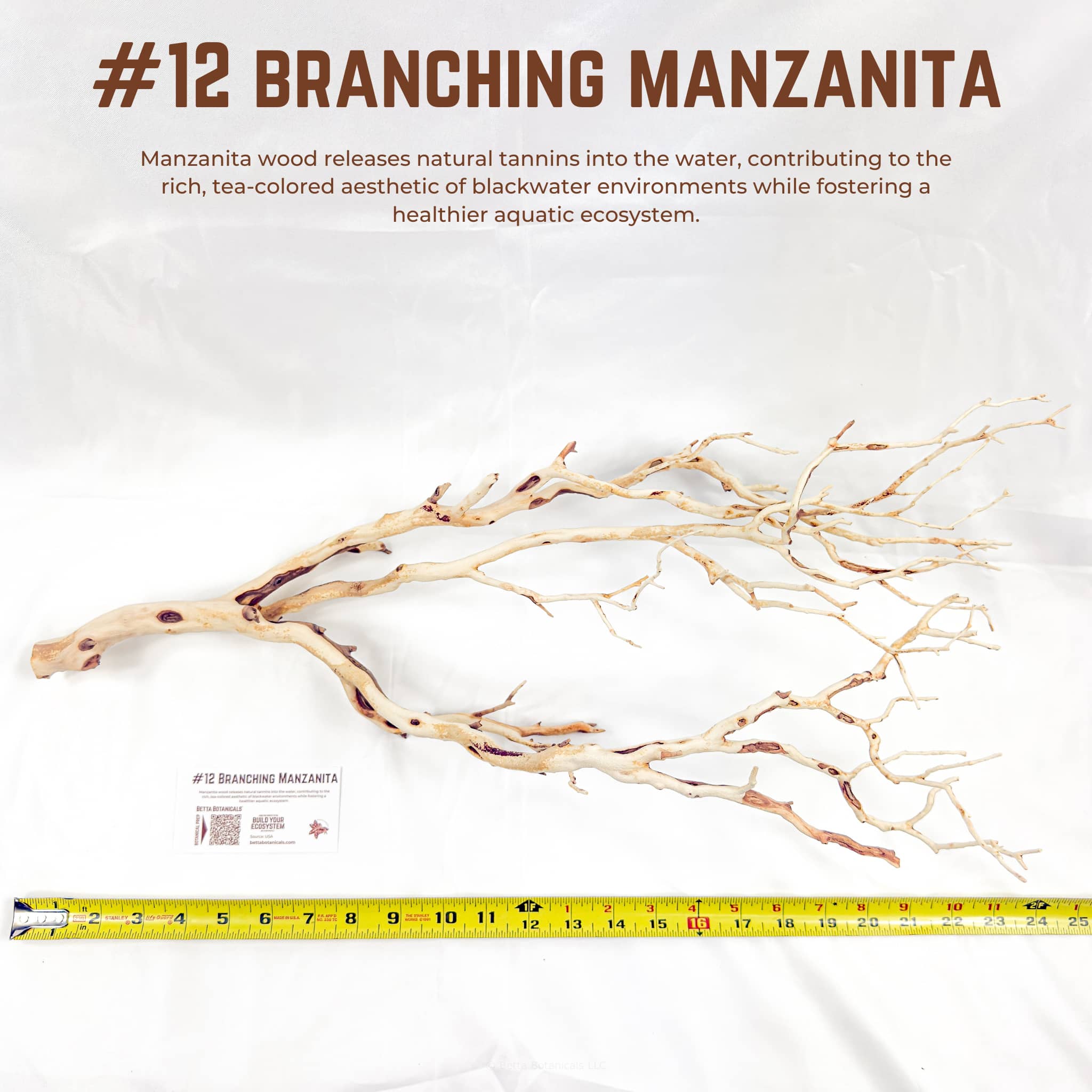 Branching Manzanita | WYSIWYG Pieces
