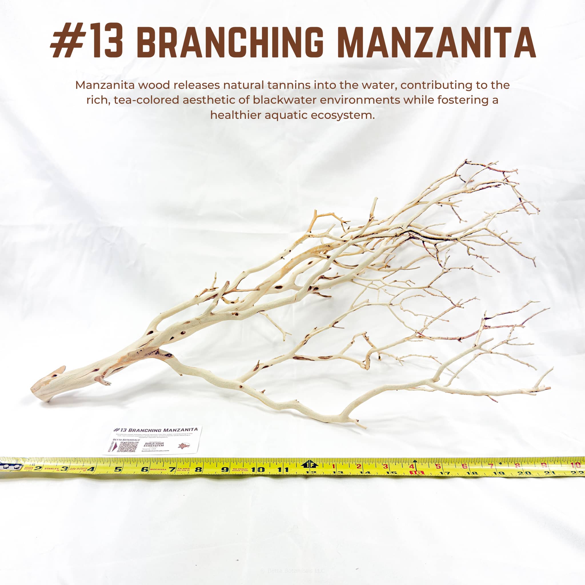 Branching Manzanita | WYSIWYG Pieces