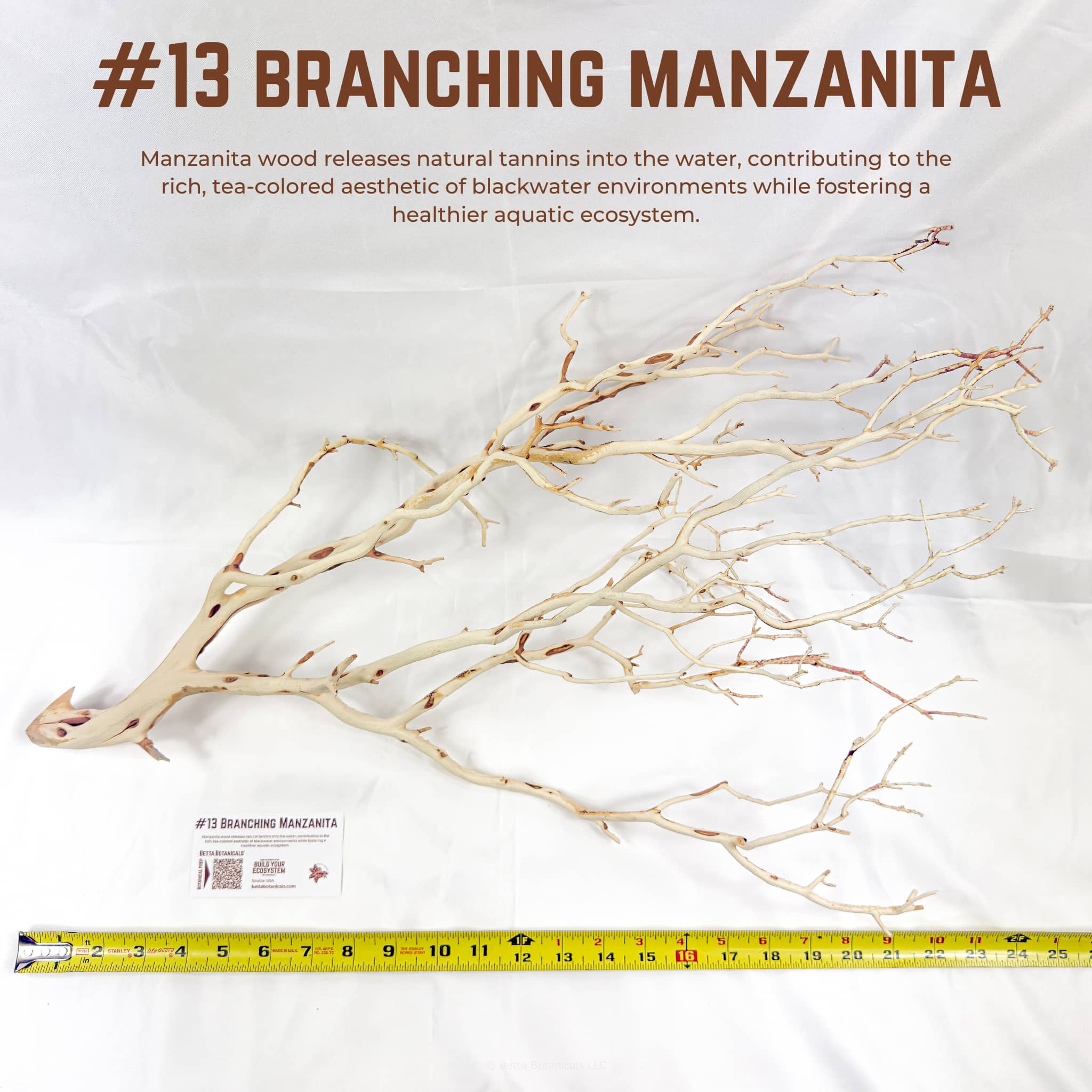Branching Manzanita | WYSIWYG Pieces
