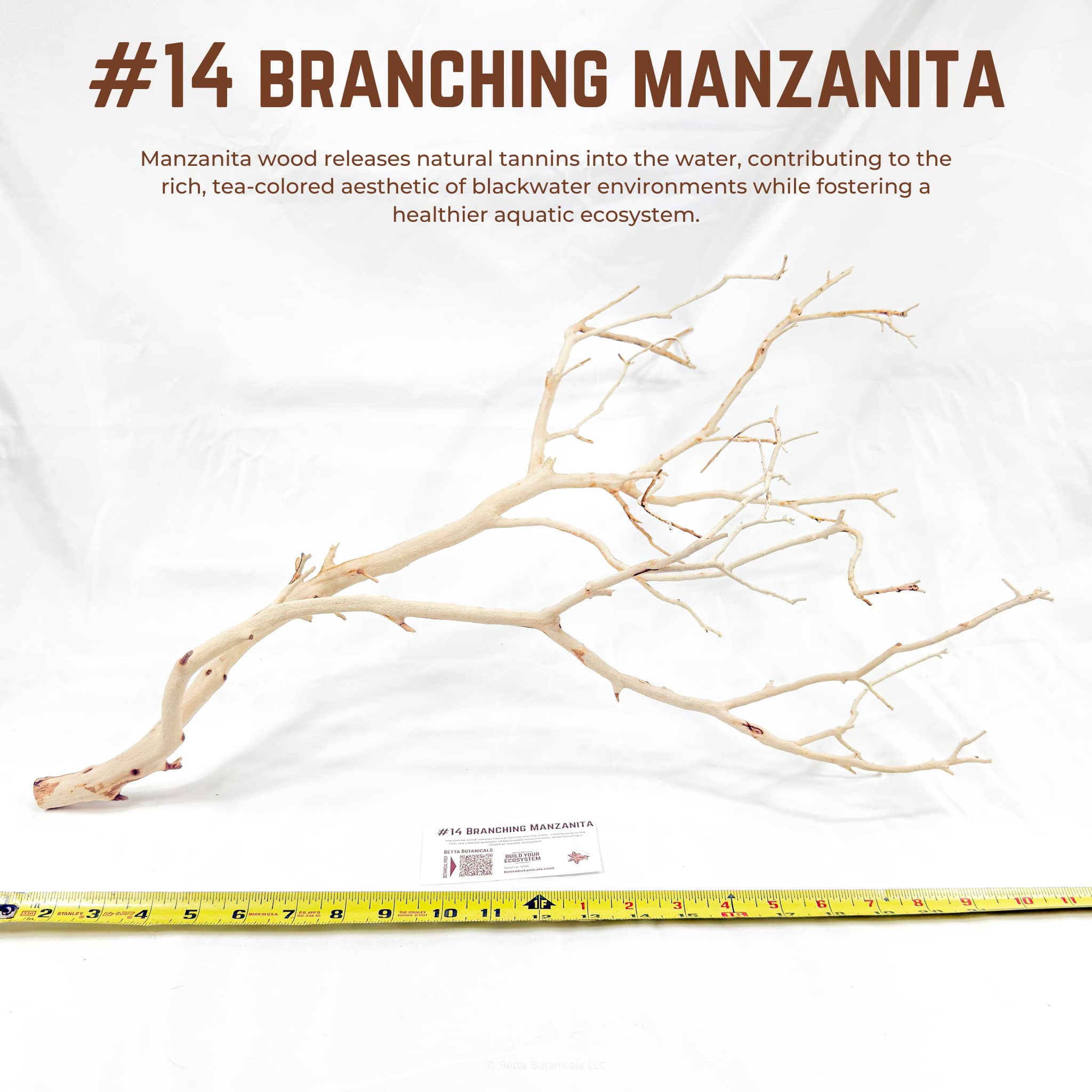 Branching Manzanita | WYSIWYG Pieces