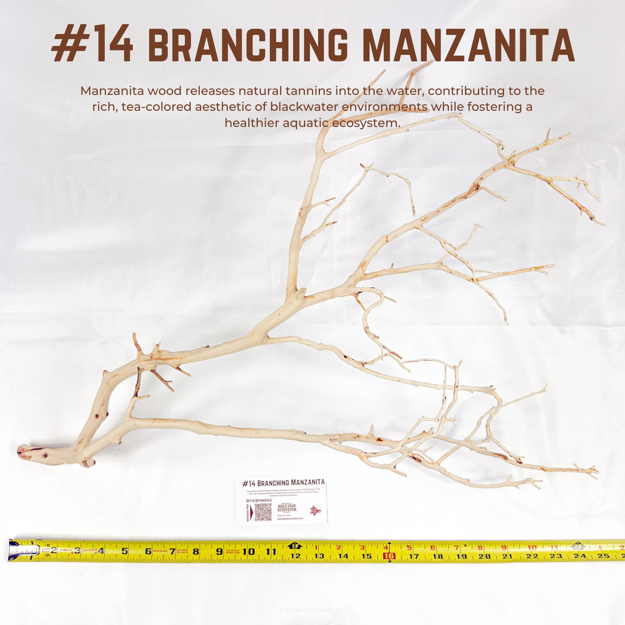 Branching Manzanita | WYSIWYG Pieces