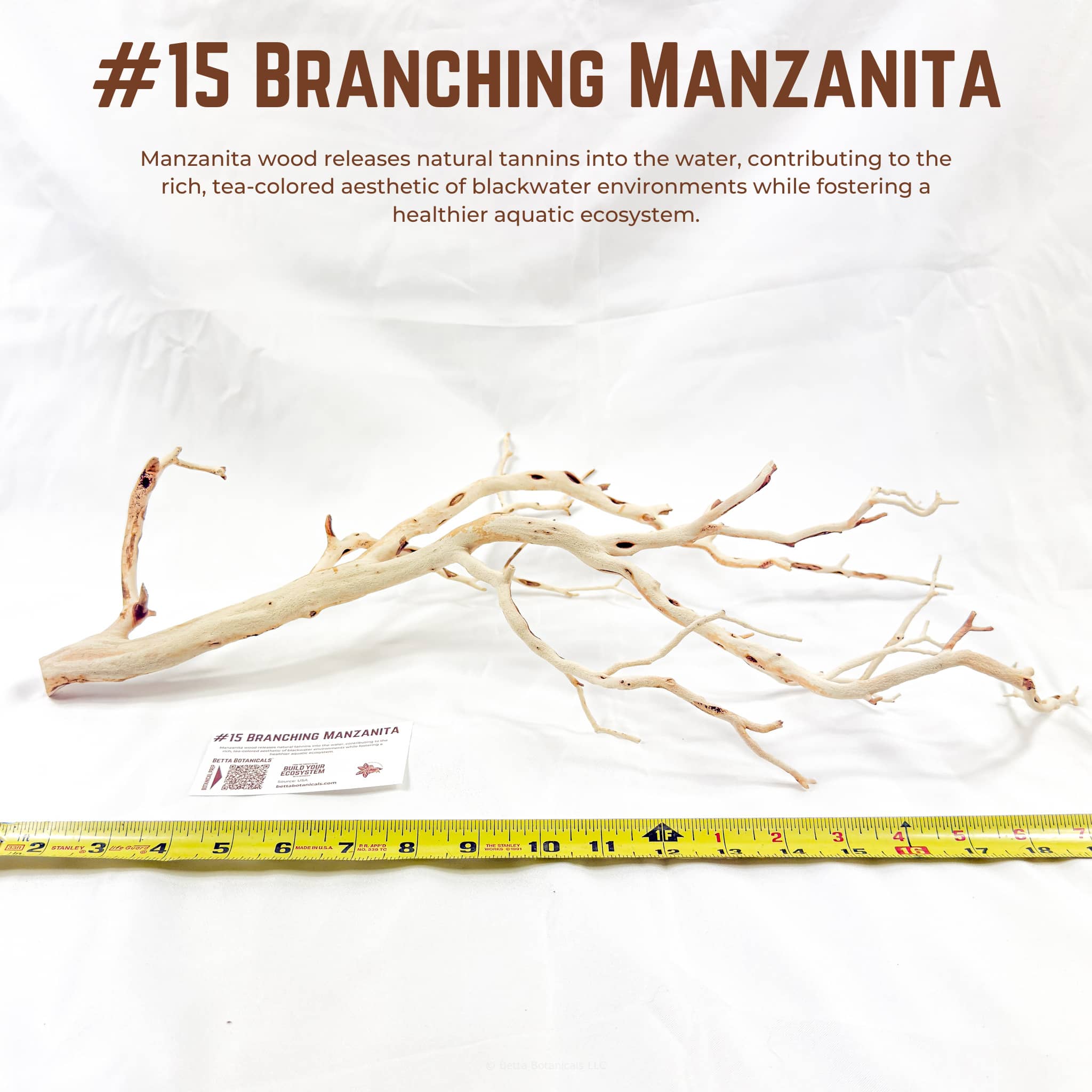 Branching Manzanita | WYSIWYG Pieces