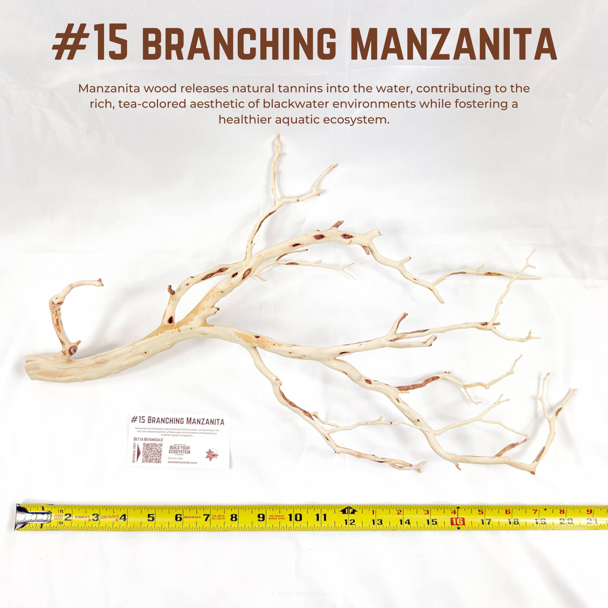 Branching Manzanita | WYSIWYG Pieces