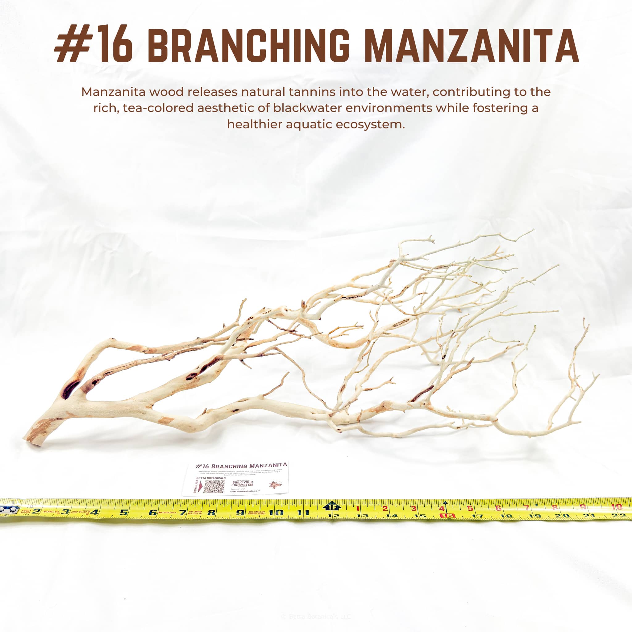 Branching Manzanita | WYSIWYG Pieces