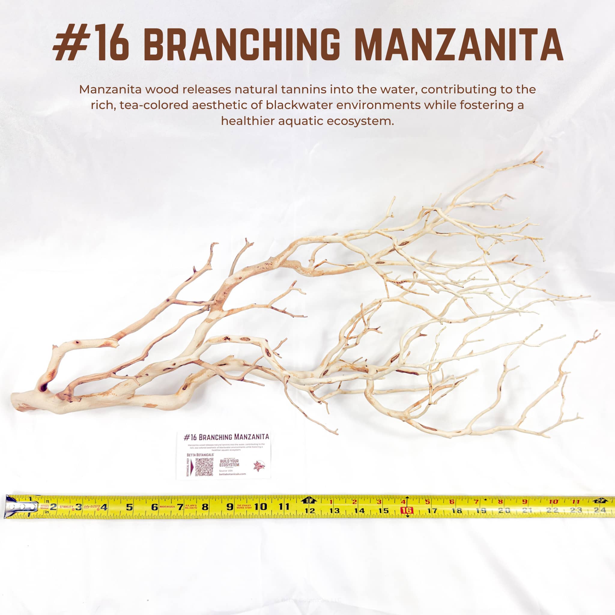 Branching Manzanita | WYSIWYG Pieces