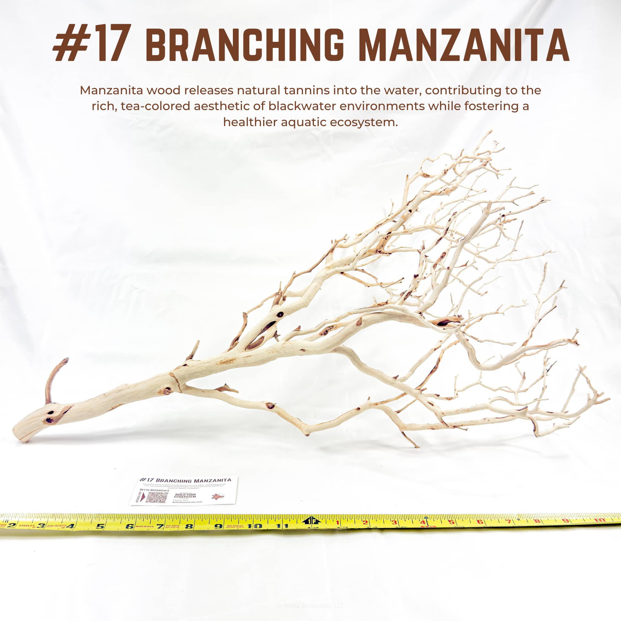Branching Manzanita | WYSIWYG Pieces
