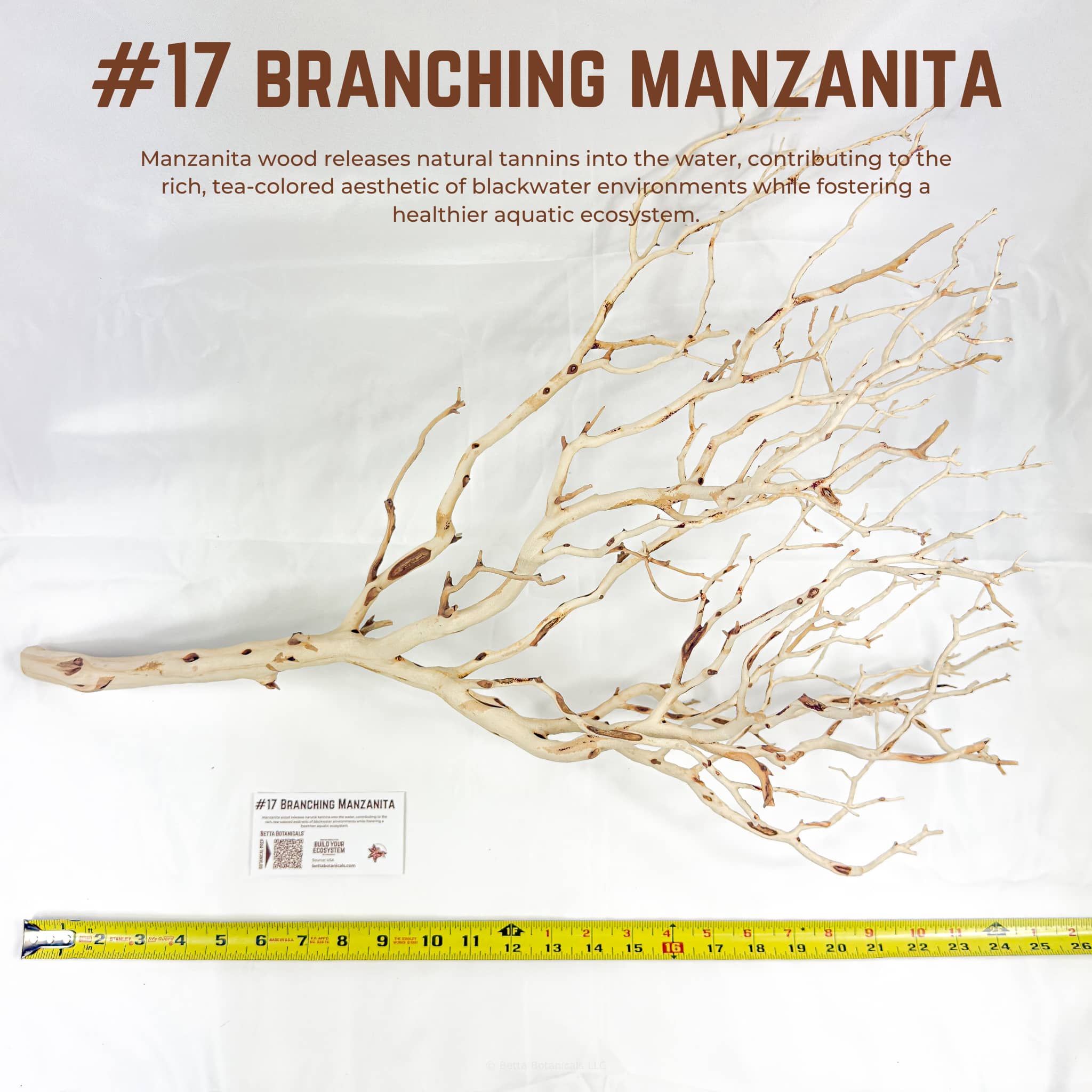 Branching Manzanita | WYSIWYG Pieces