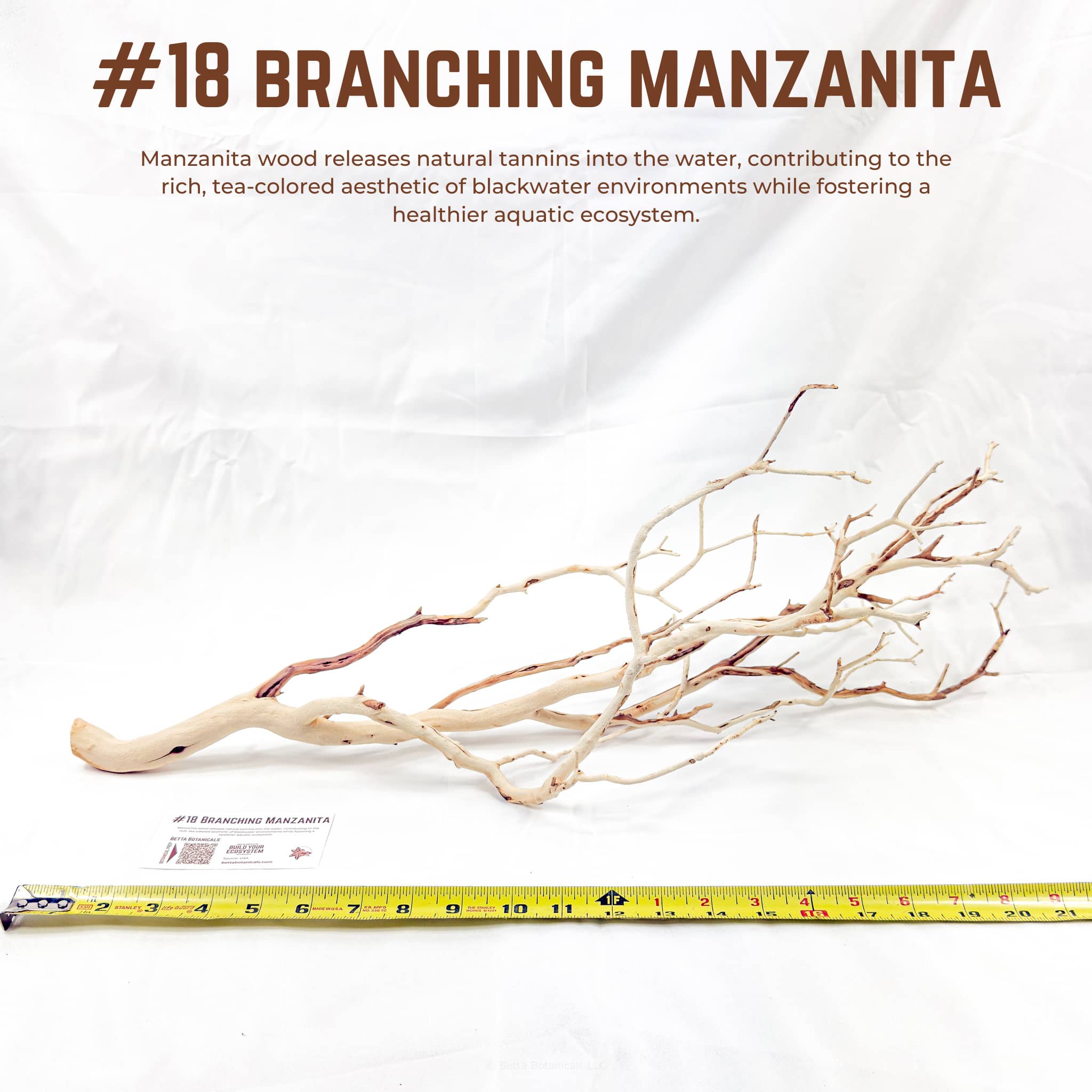 Branching Manzanita | WYSIWYG Pieces