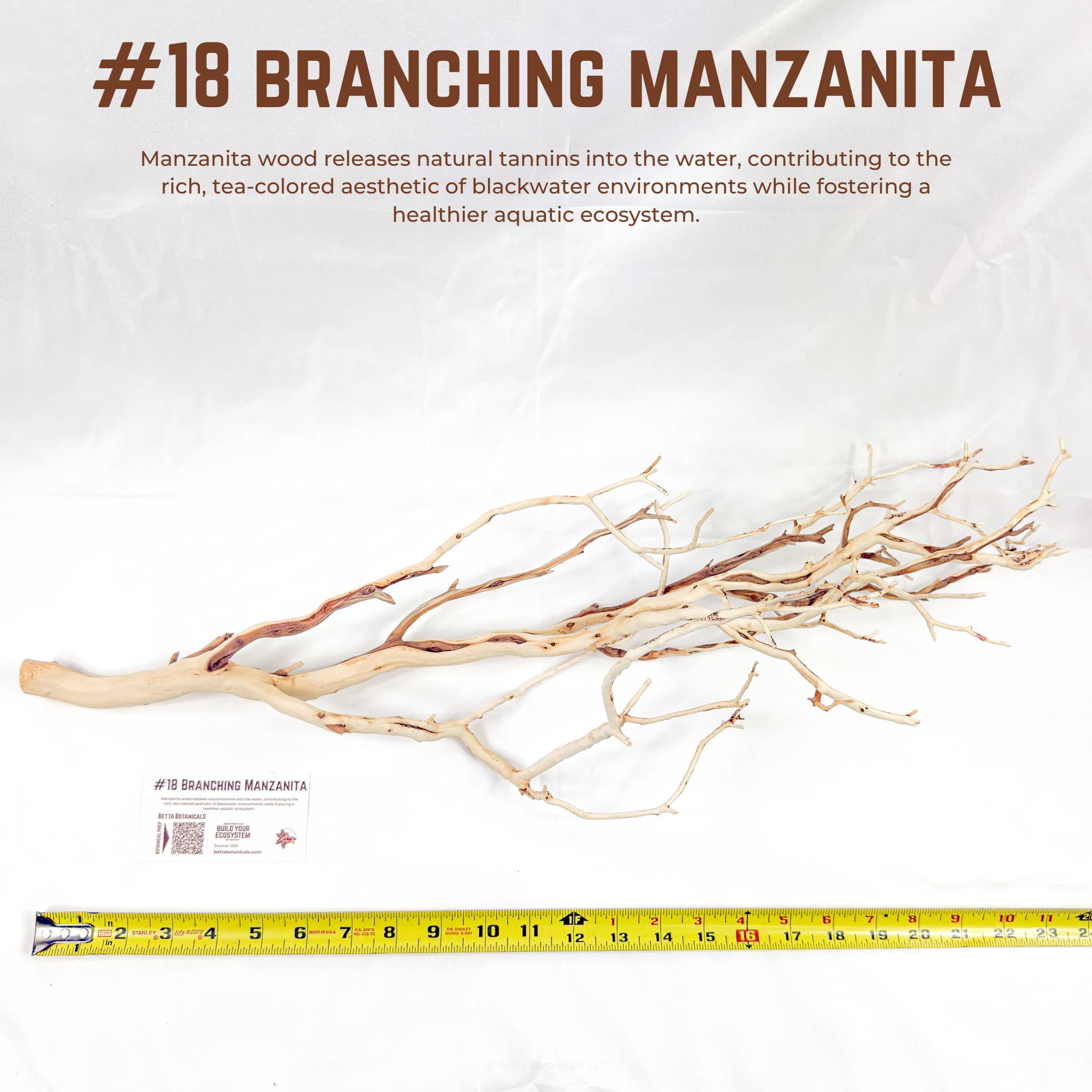 Branching Manzanita | WYSIWYG Pieces