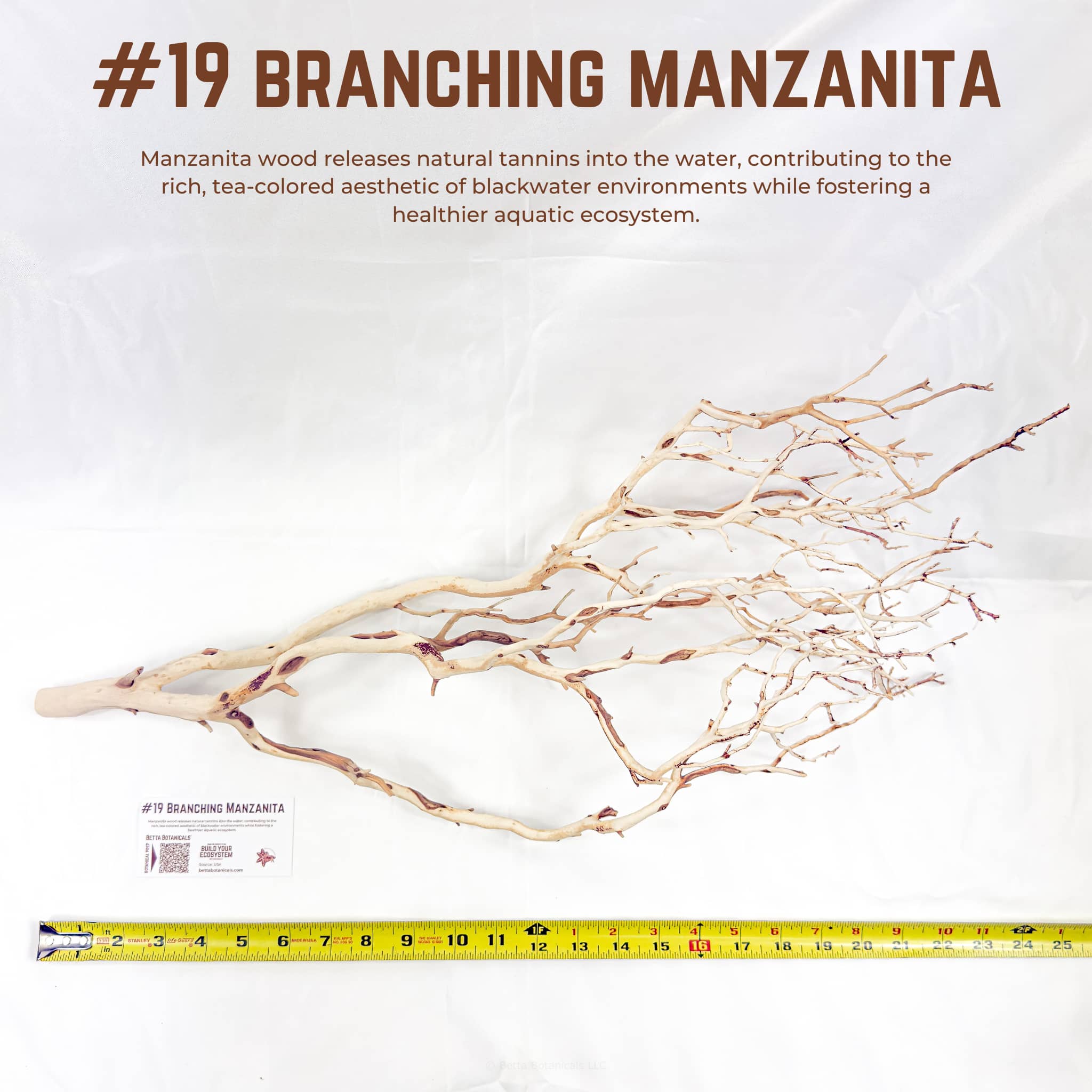 Branching Manzanita | WYSIWYG Pieces