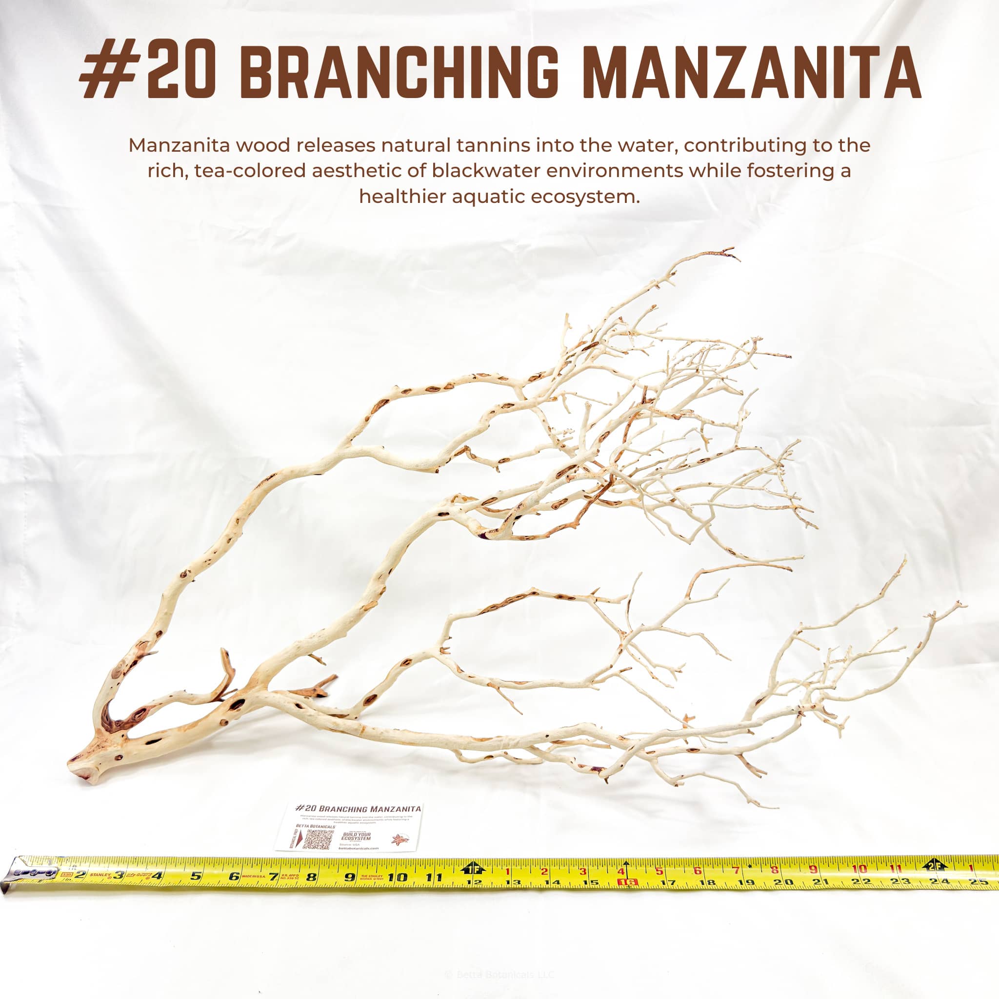 Branching Manzanita | WYSIWYG Pieces