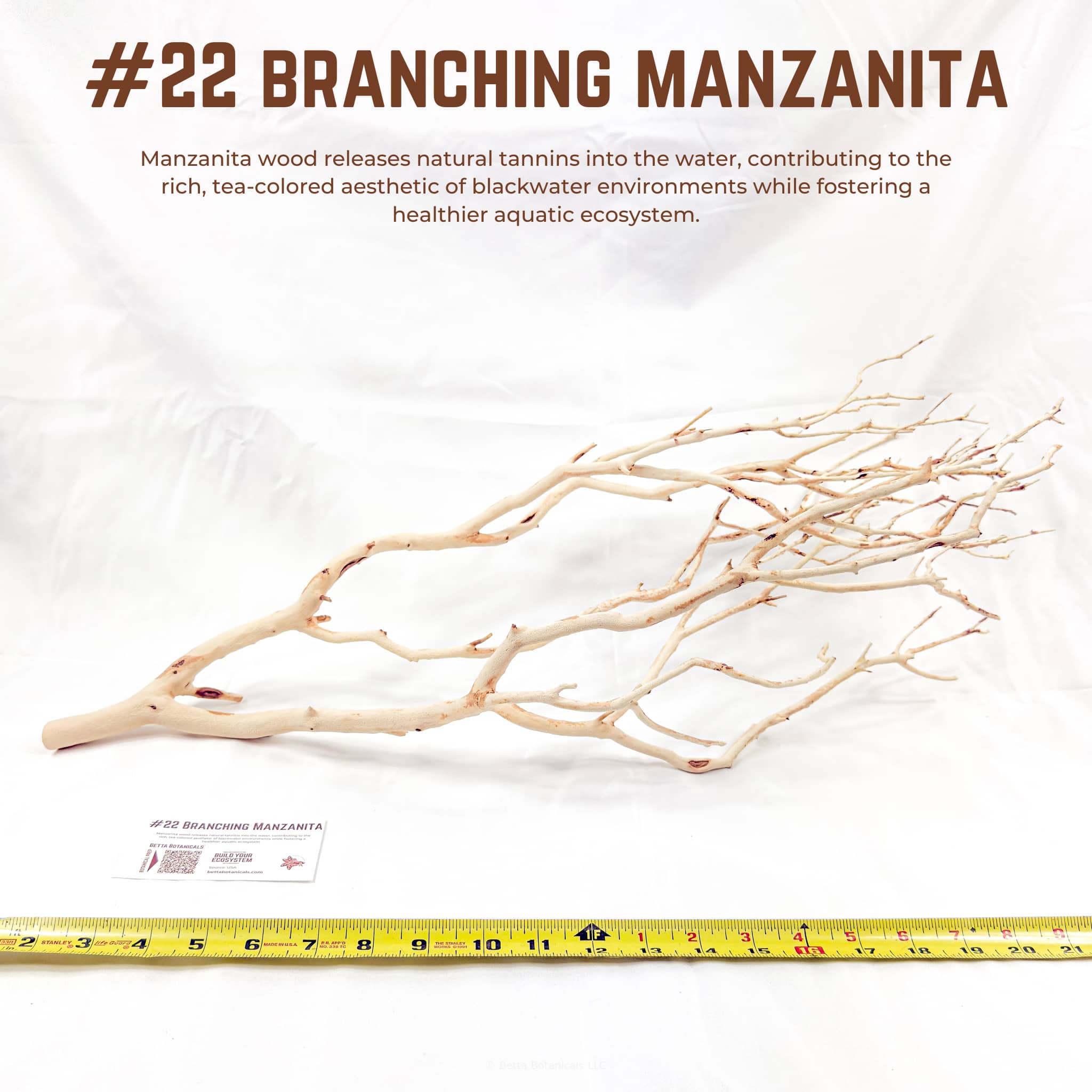Branching Manzanita | WYSIWYG Pieces