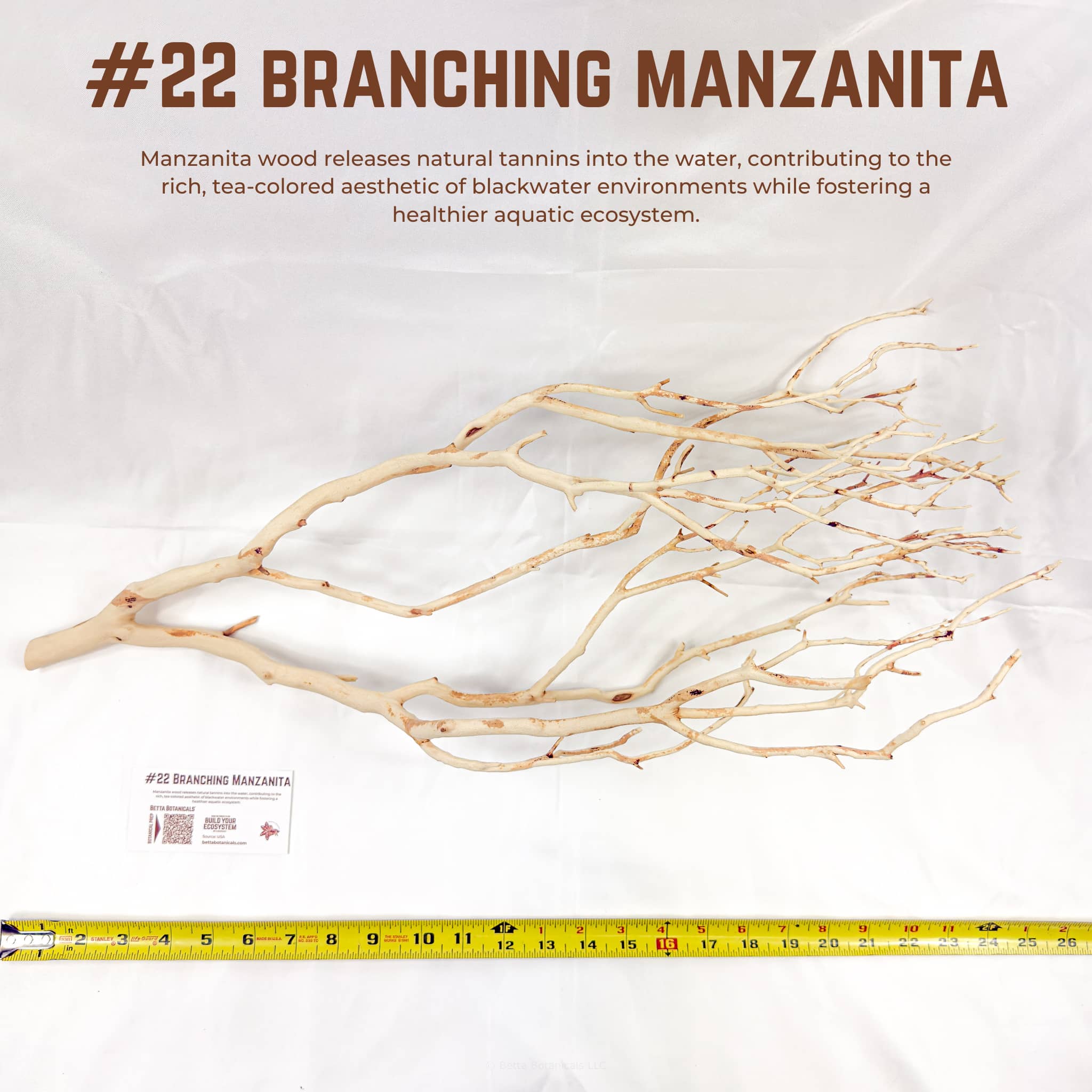Branching Manzanita | WYSIWYG Pieces