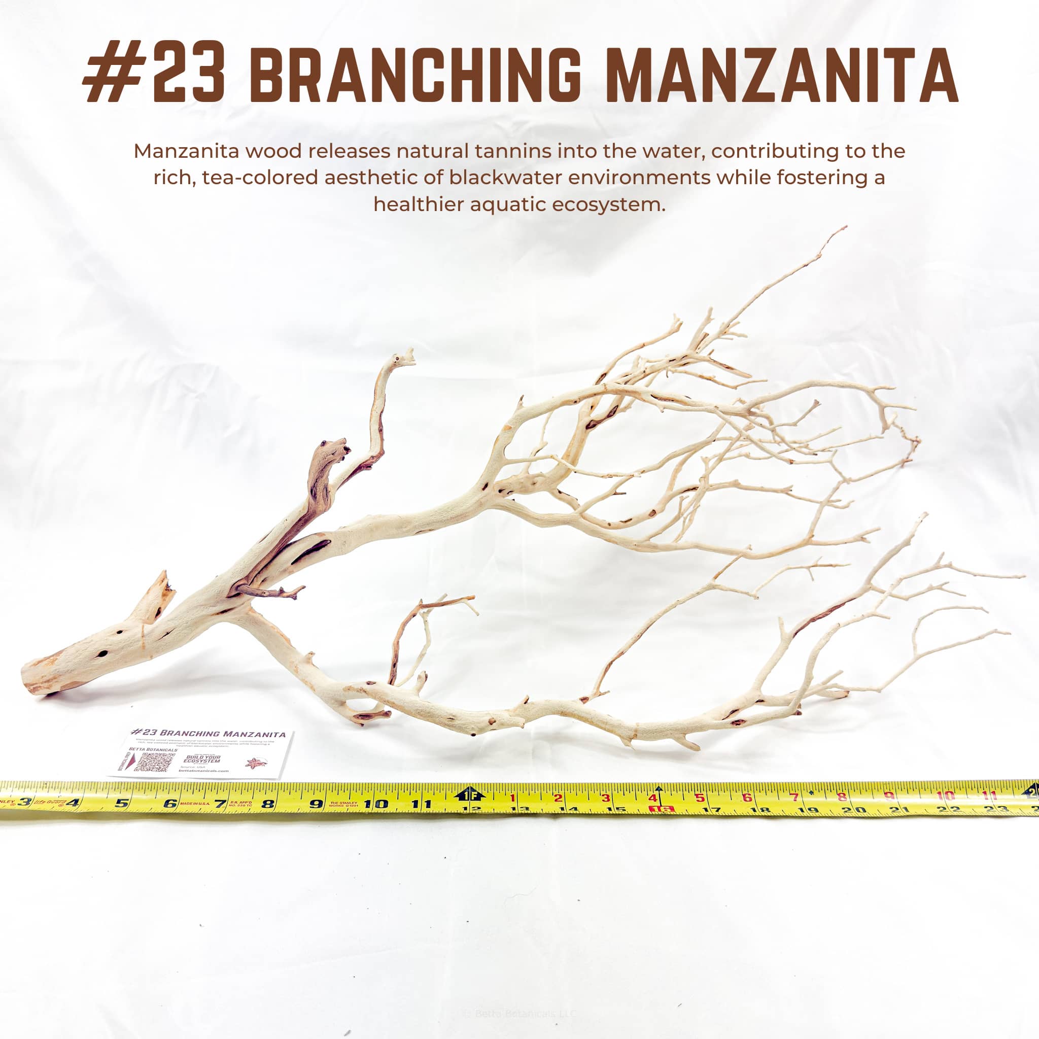 Branching Manzanita | WYSIWYG Pieces