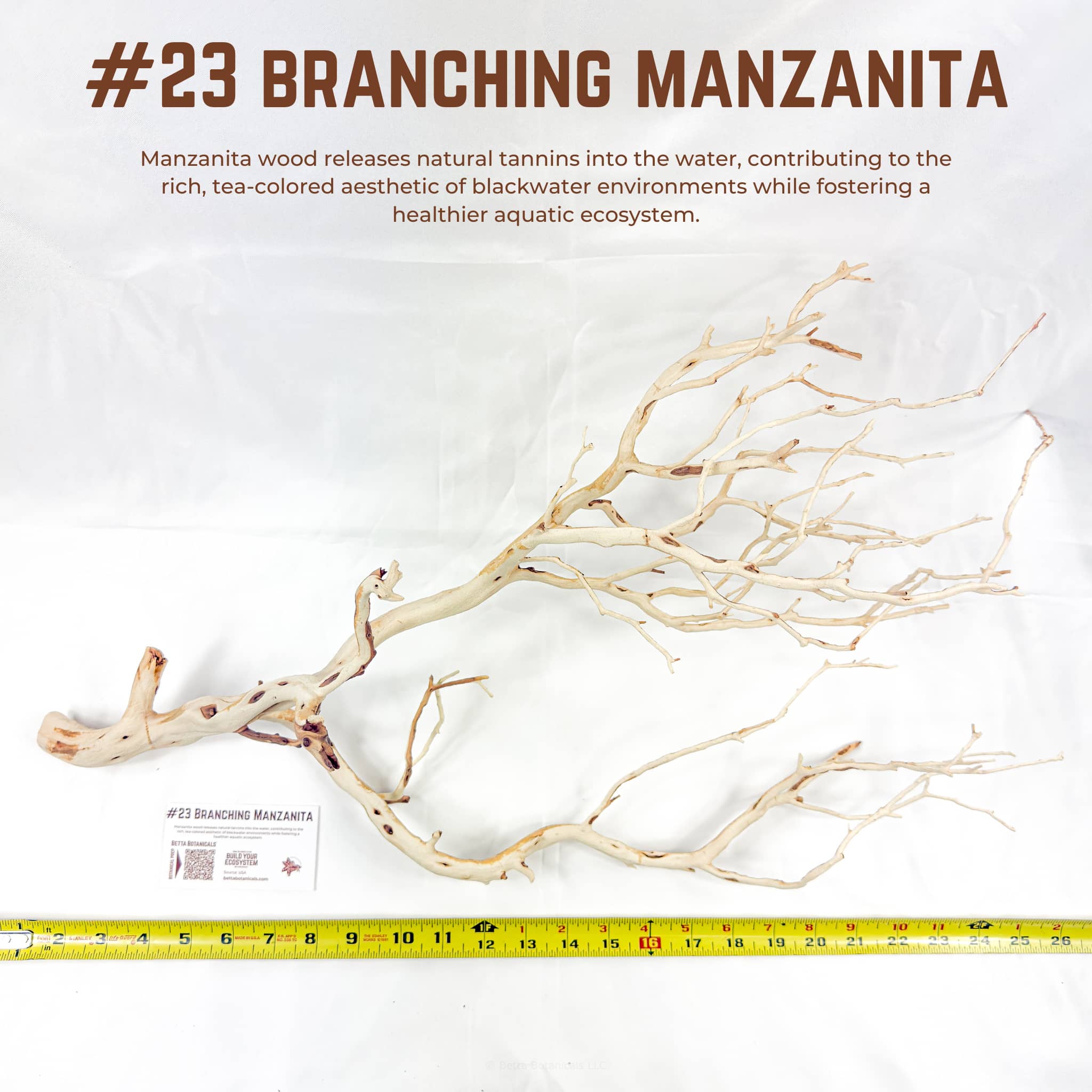 Branching Manzanita | WYSIWYG Pieces