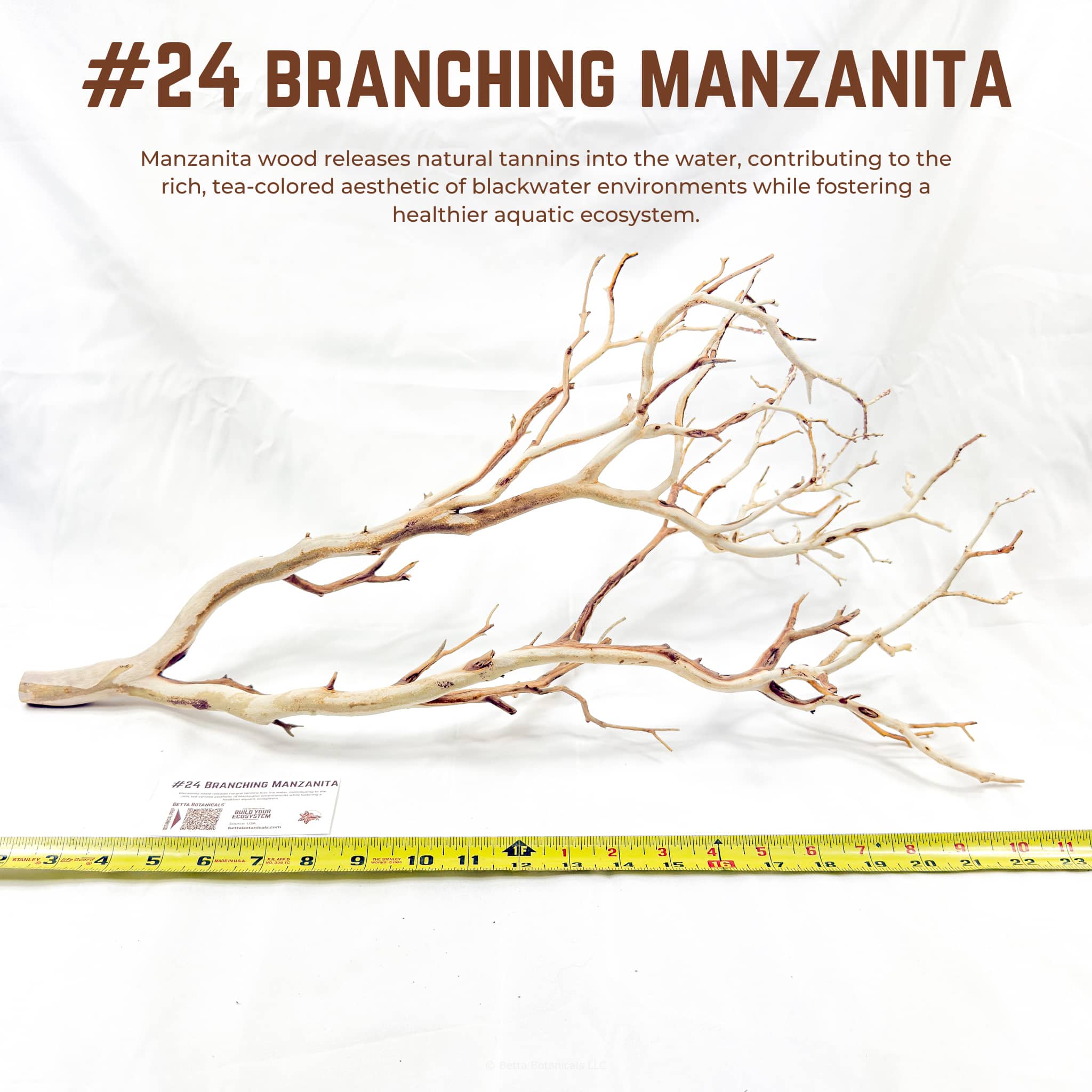 Branching Manzanita | WYSIWYG Pieces