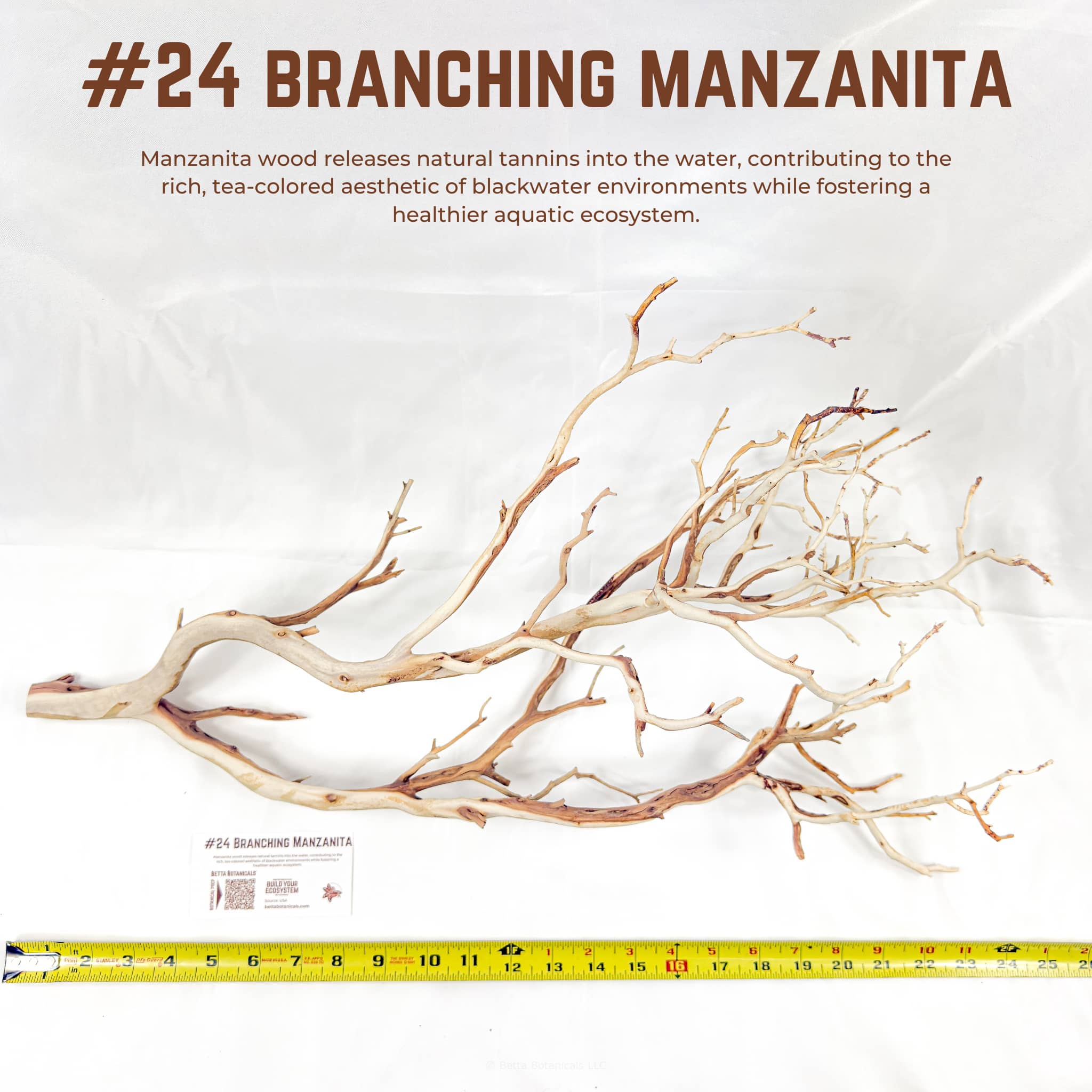 Branching Manzanita | WYSIWYG Pieces
