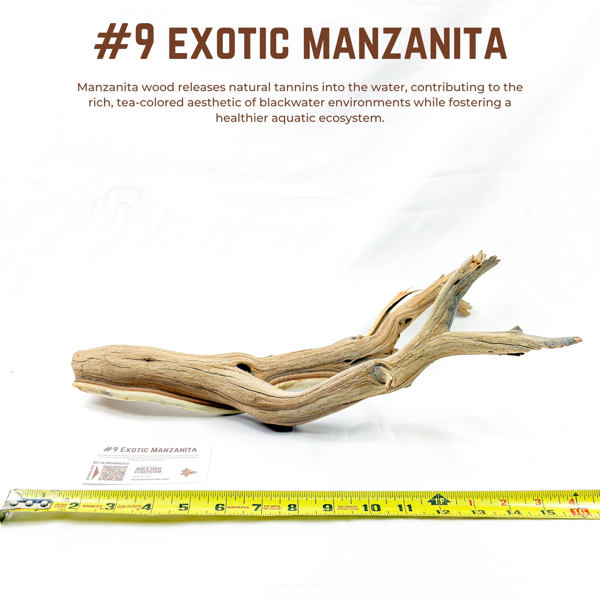 Exotic Manzanita | WYSIWYG Pieces
