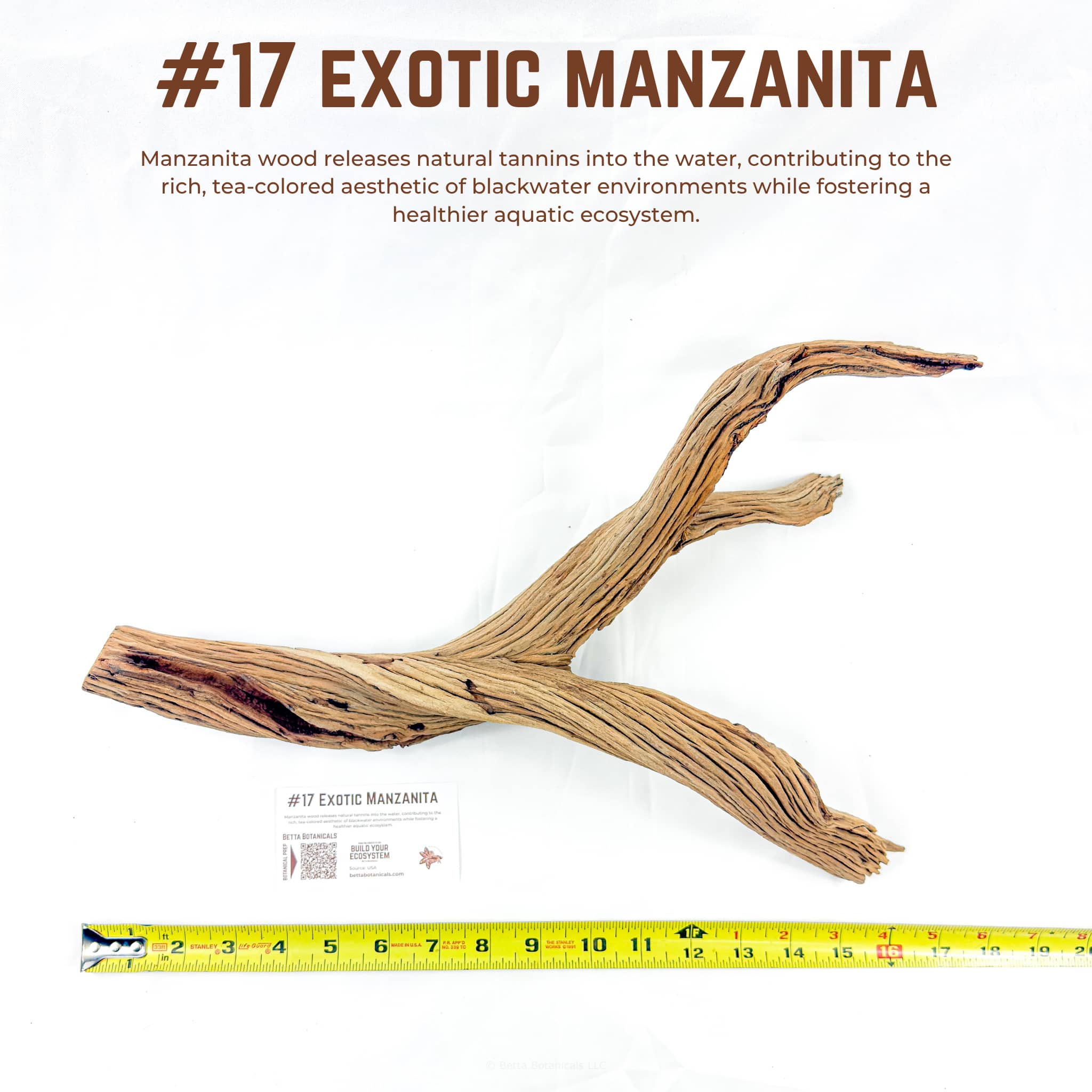 Exotic Manzanita | WYSIWYG Pieces