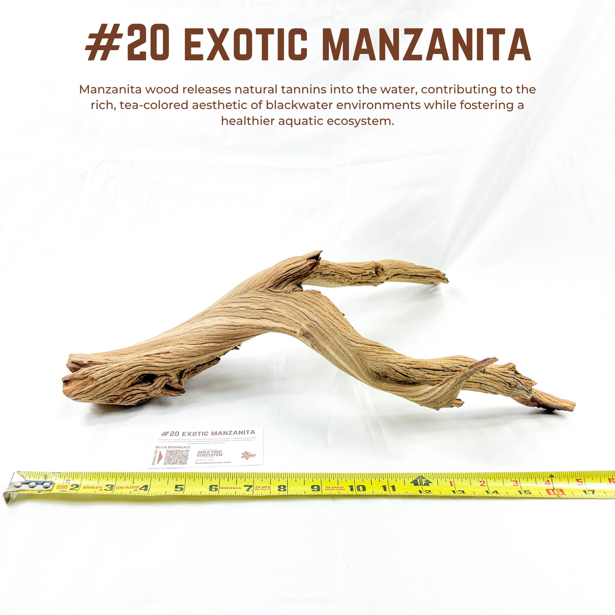 Exotic Manzanita | WYSIWYG Pieces