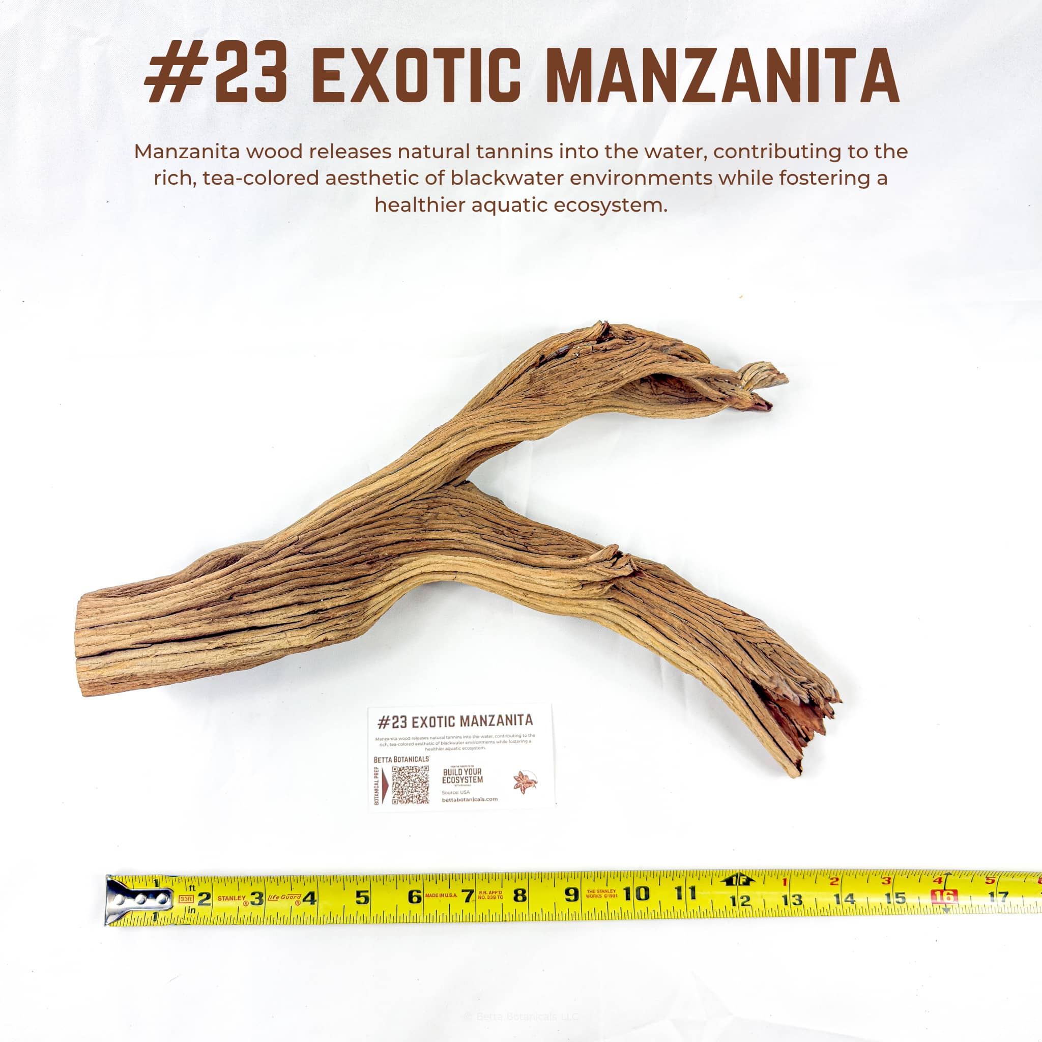 Exotic Manzanita | WYSIWYG Pieces