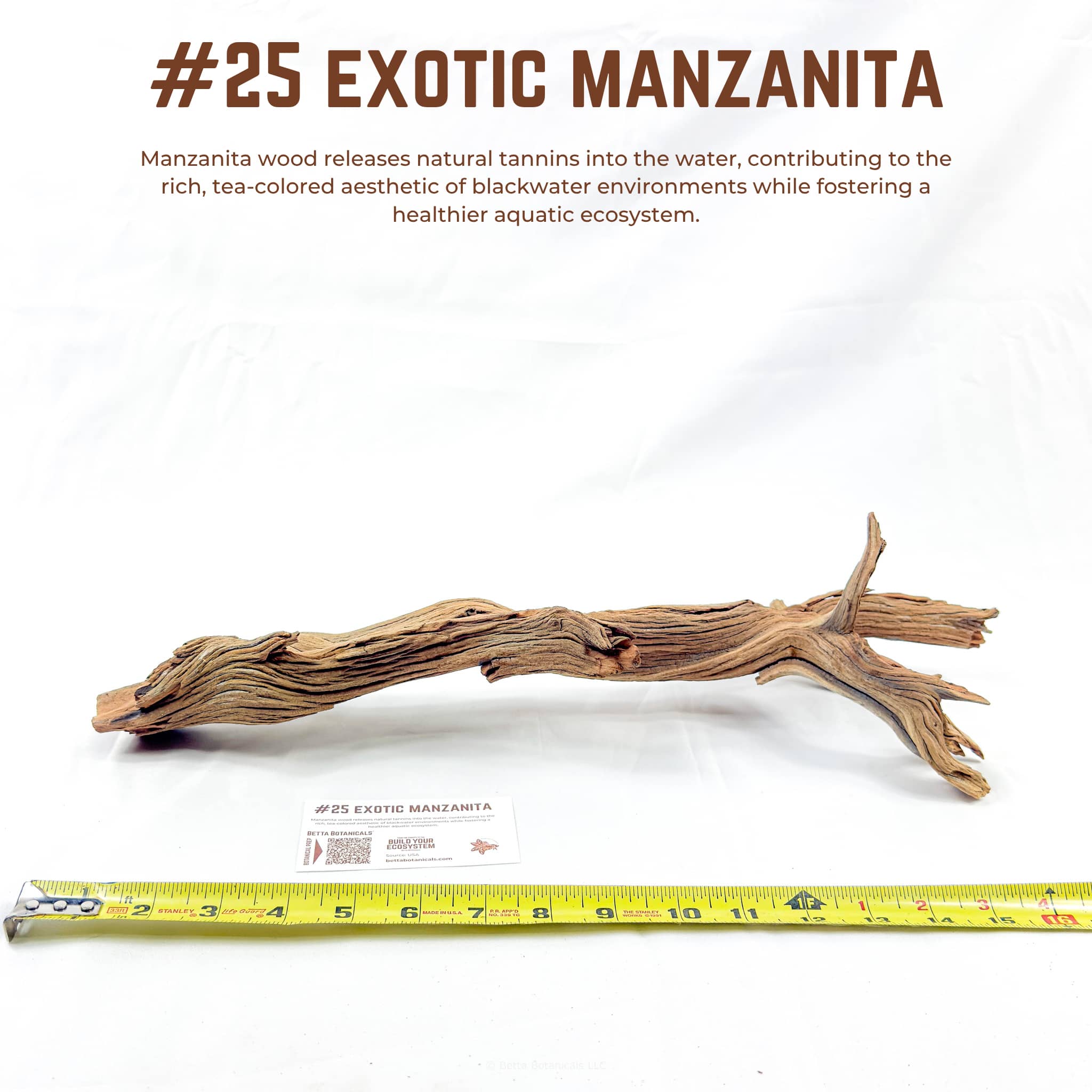 Exotic Manzanita | WYSIWYG Pieces