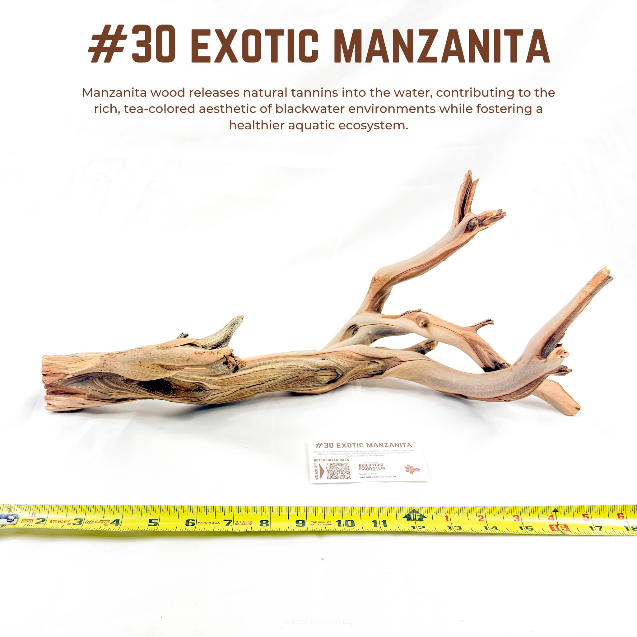 Exotic Manzanita | WYSIWYG Pieces
