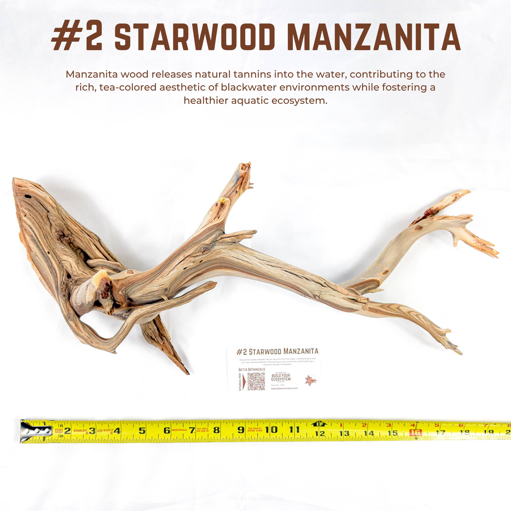 Starwood Manzanita | WYSIWYG Pieces