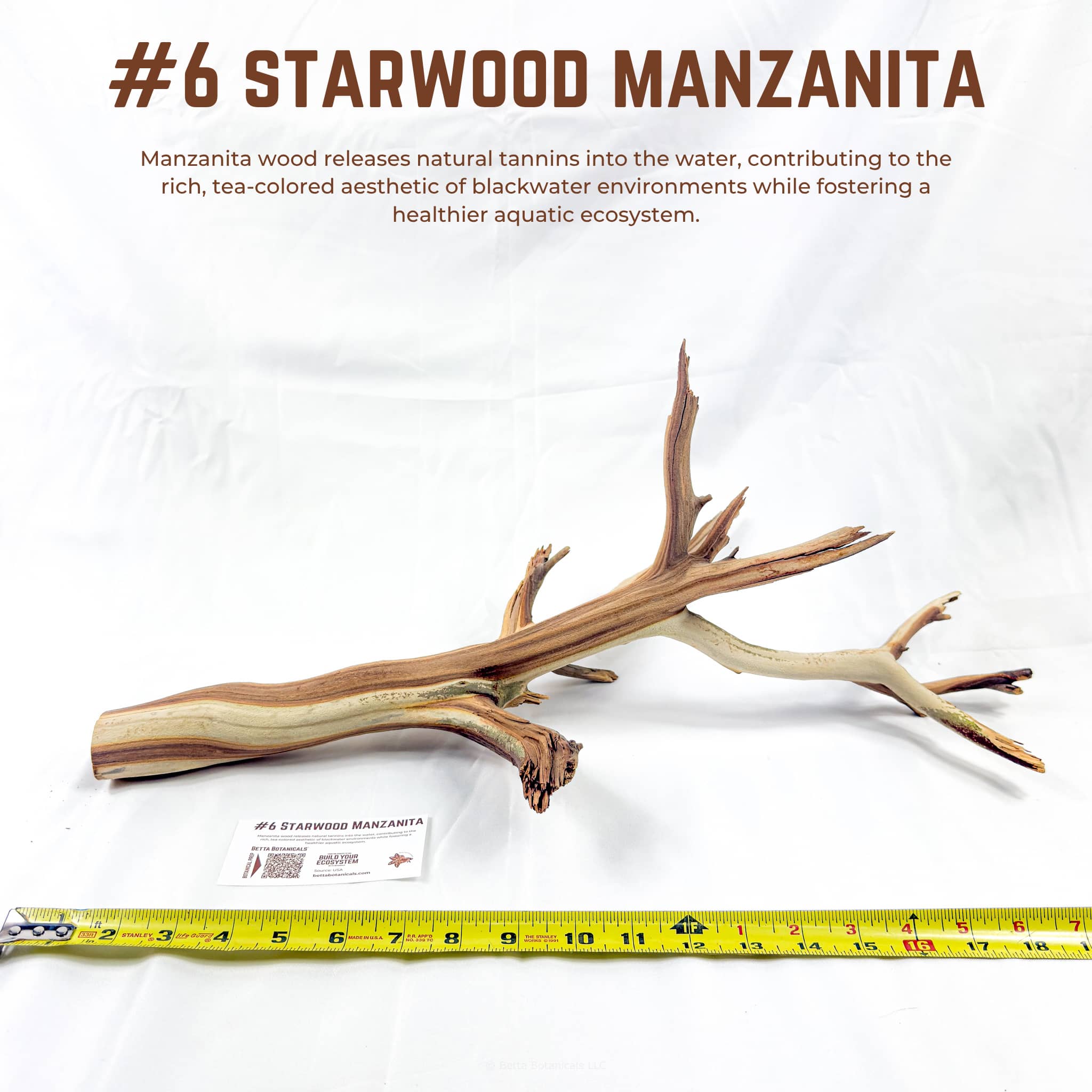 Starwood Manzanita | WYSIWYG Pieces