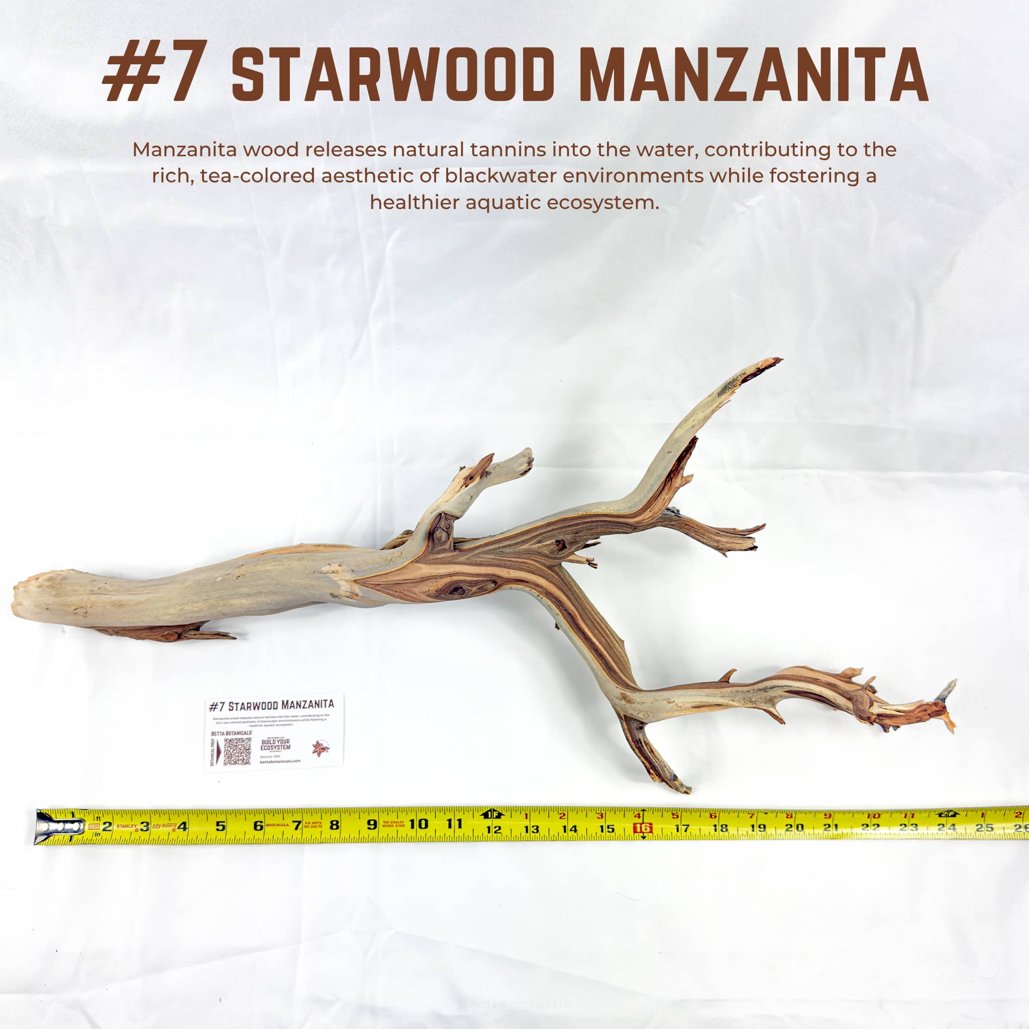 Starwood Manzanita | WYSIWYG Pieces