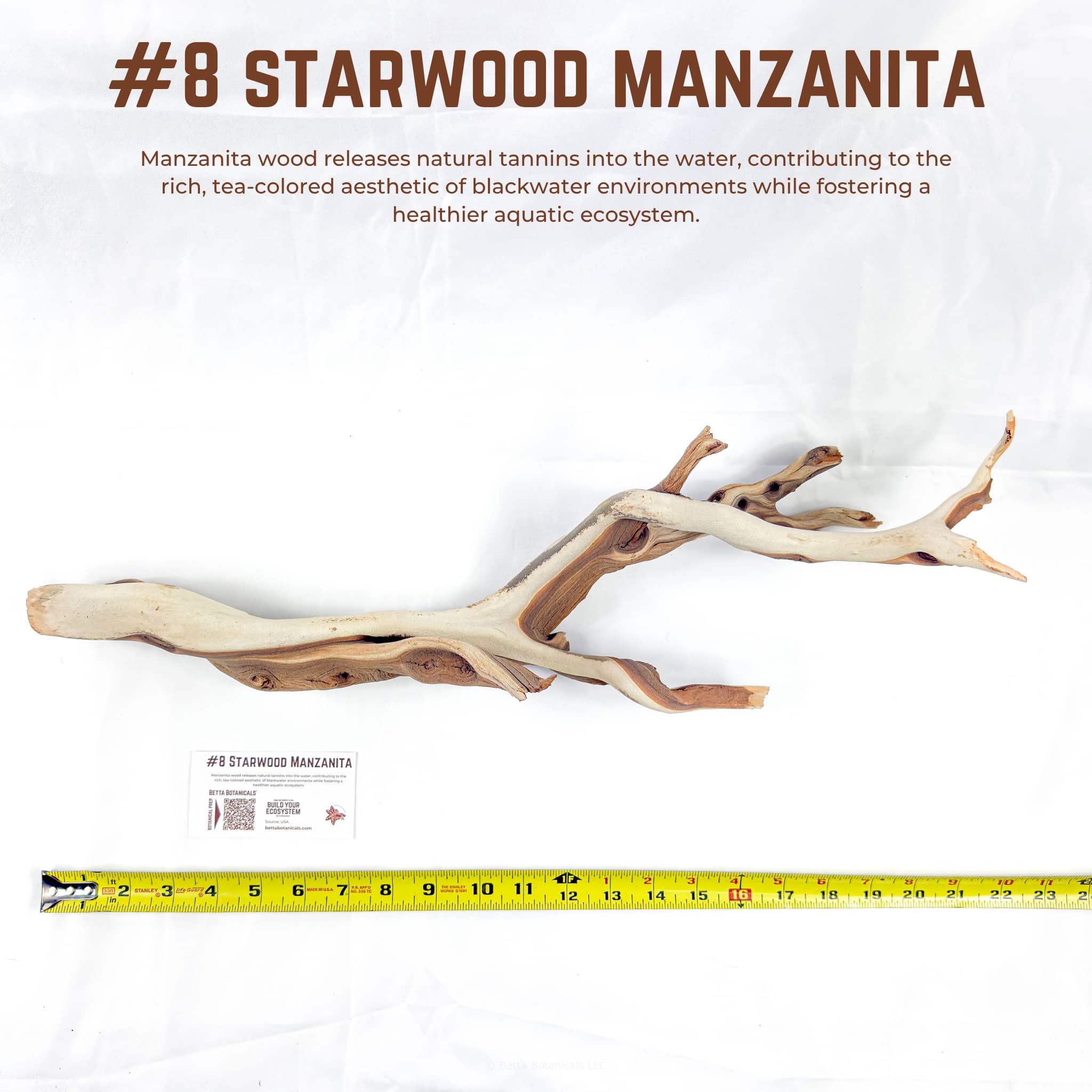 Starwood Manzanita | WYSIWYG Pieces