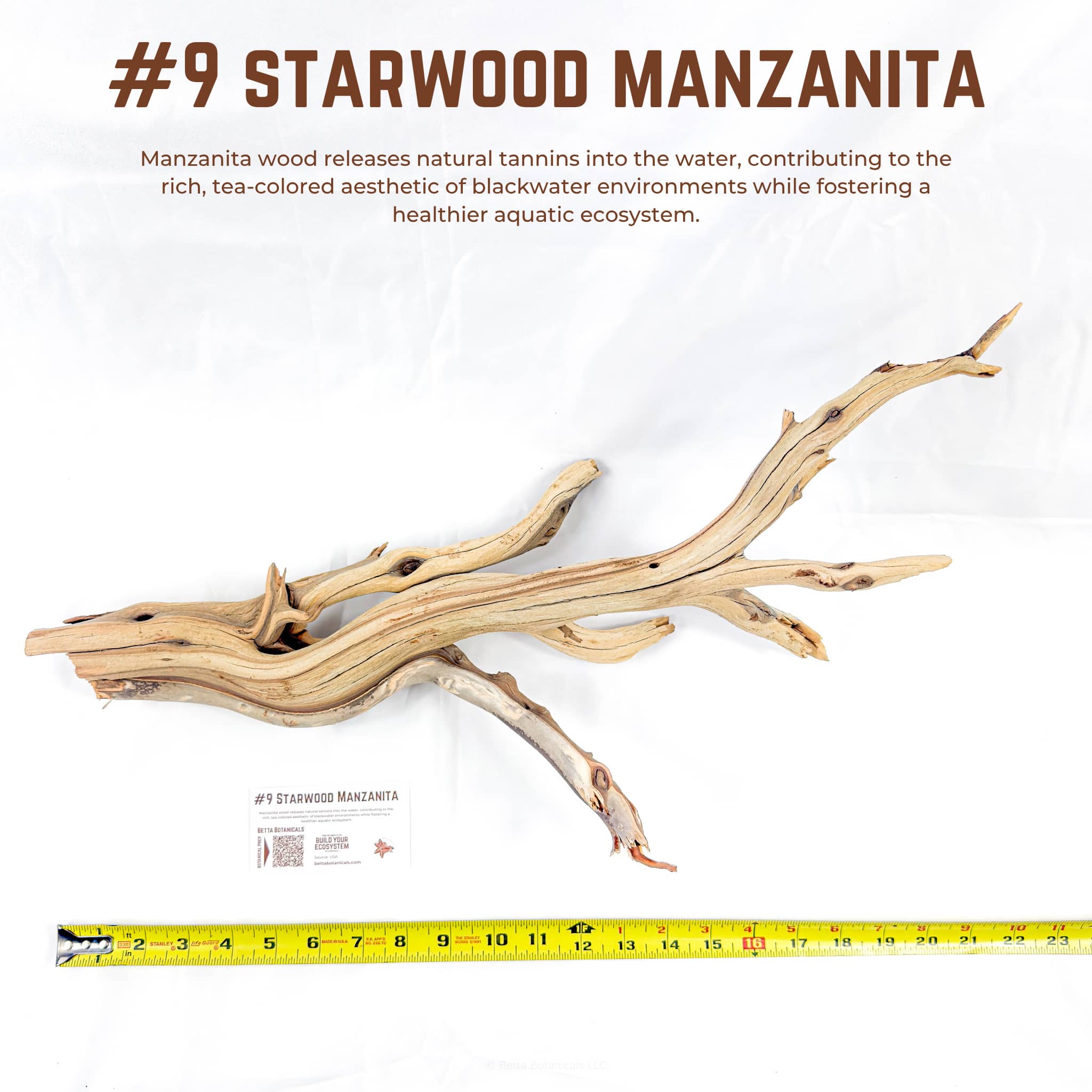 Starwood Manzanita | WYSIWYG Pieces