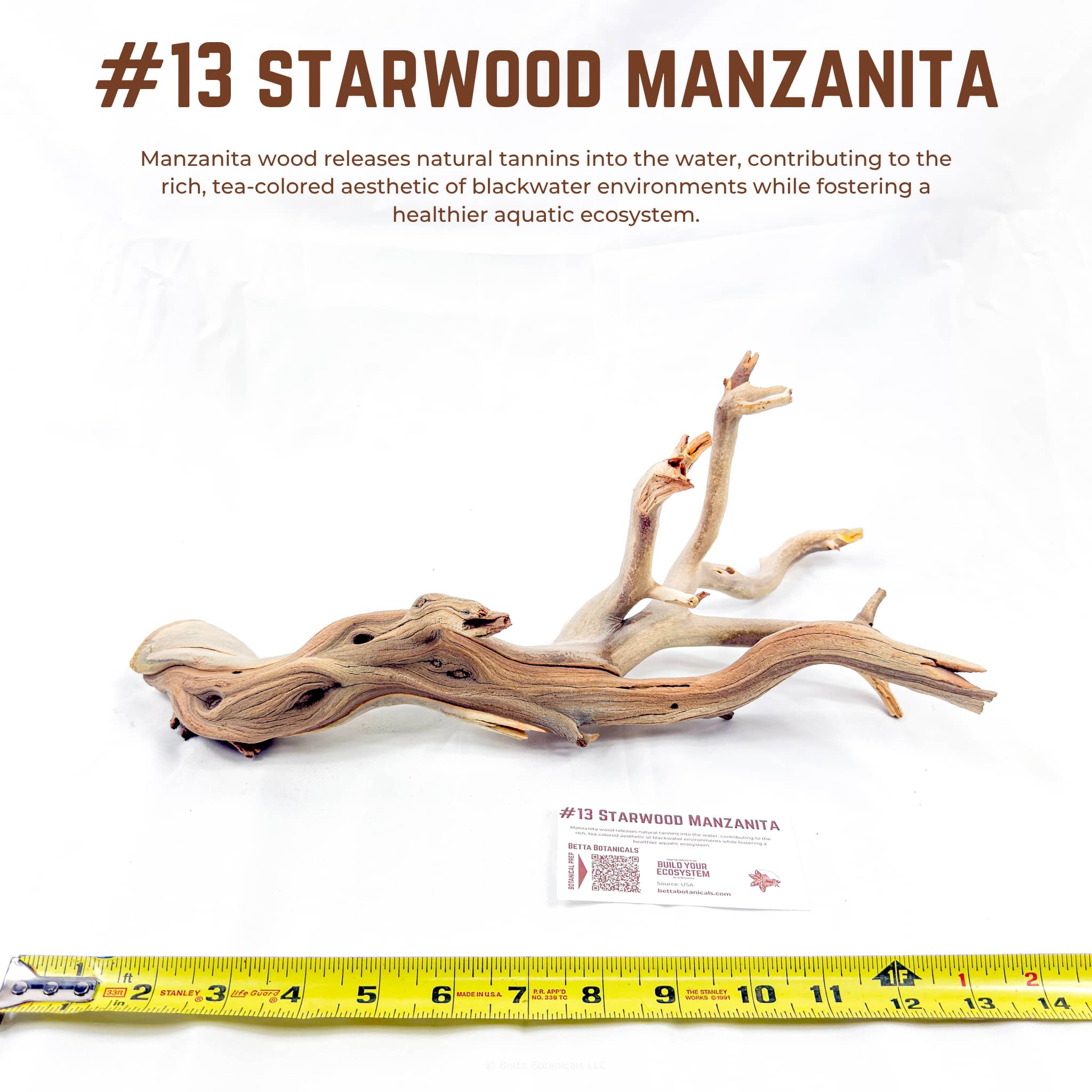 Starwood Manzanita | WYSIWYG Pieces