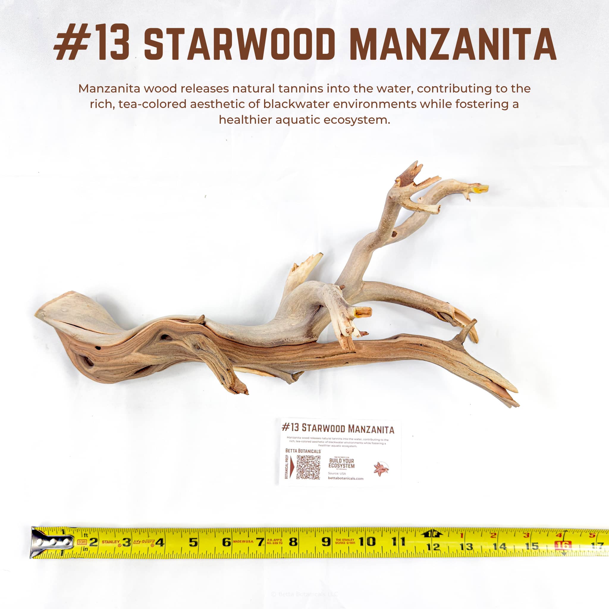 Starwood Manzanita | WYSIWYG Pieces