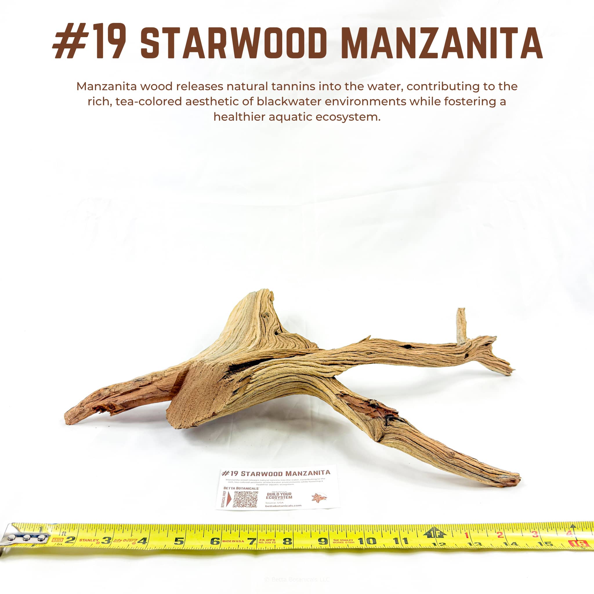 Starwood Manzanita | WYSIWYG Pieces